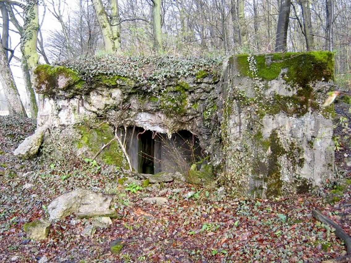 Ligne Maginot - BOIS DE KERFENT SUD 1 - (Blockhaus pour arme infanterie) - 