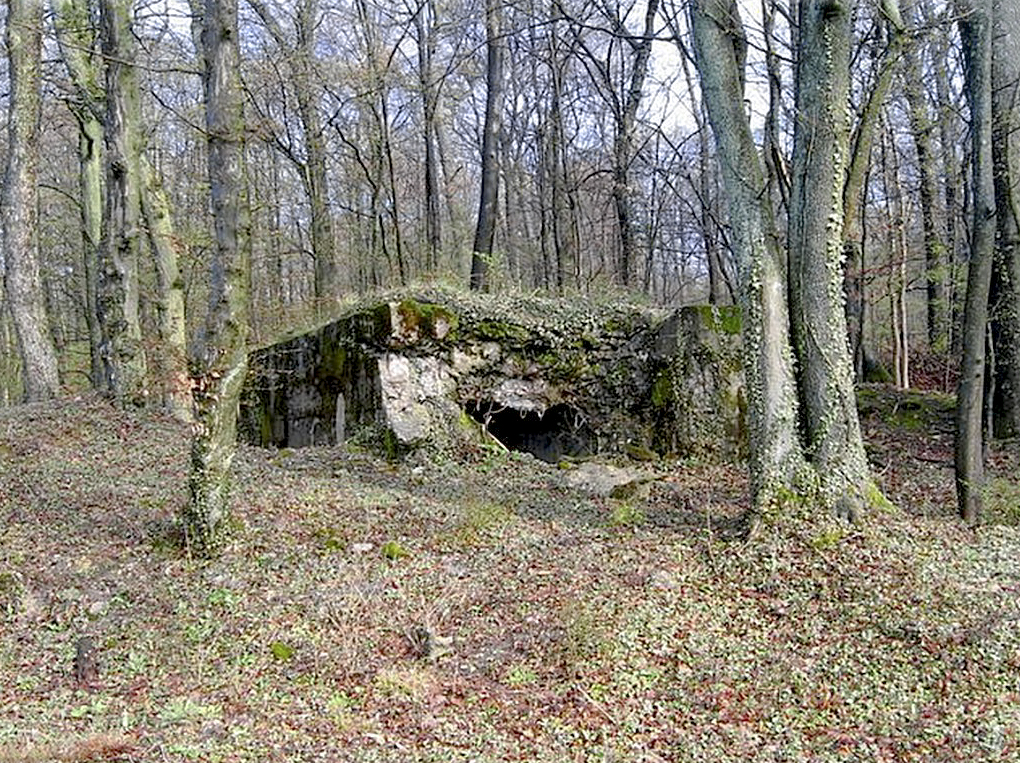 Ligne Maginot - BOIS DE KERFENT SUD 1 - (Blockhaus pour arme infanterie) - 