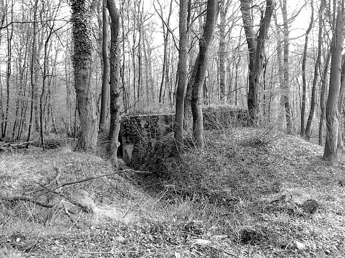 Ligne Maginot - BOIS DE KERFENT SUD 1 - (Blockhaus pour arme infanterie) - 