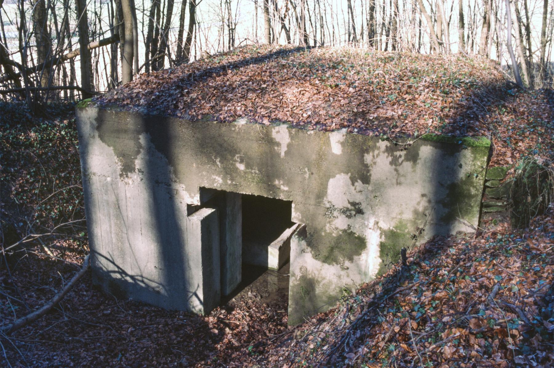 Ligne Maginot - BOIS DE KERFENT NORD 3 - (Blockhaus pour canon) -  - MANSUY Michel