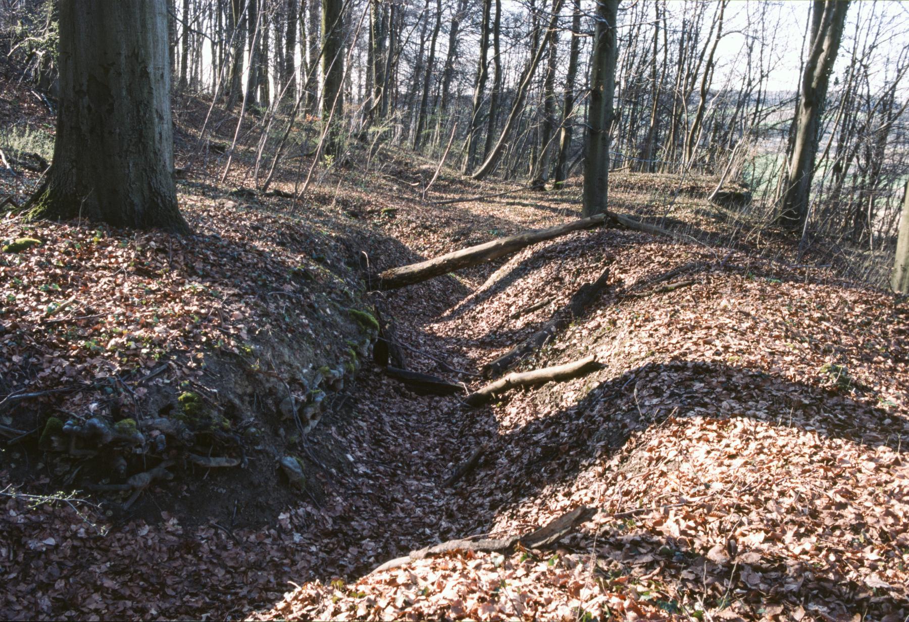Ligne Maginot - BOIS DE KERFENT NORD 3 - (Blockhaus pour canon) - Tranchée - MANSUY Michel