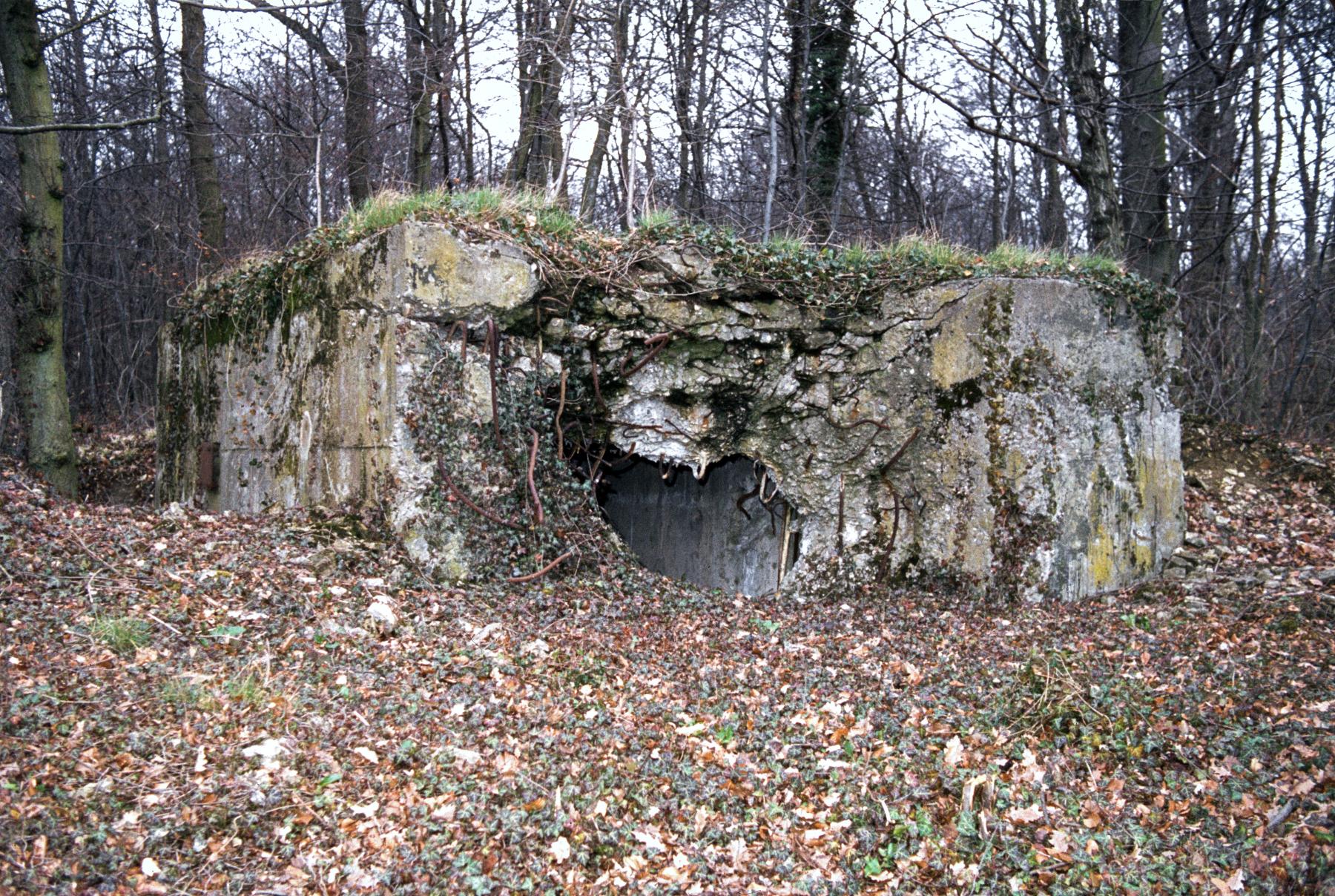 Ligne Maginot - BOIS DE KERFENT SUD 1 - (Blockhaus pour arme infanterie) -  - MANSUY Michel
