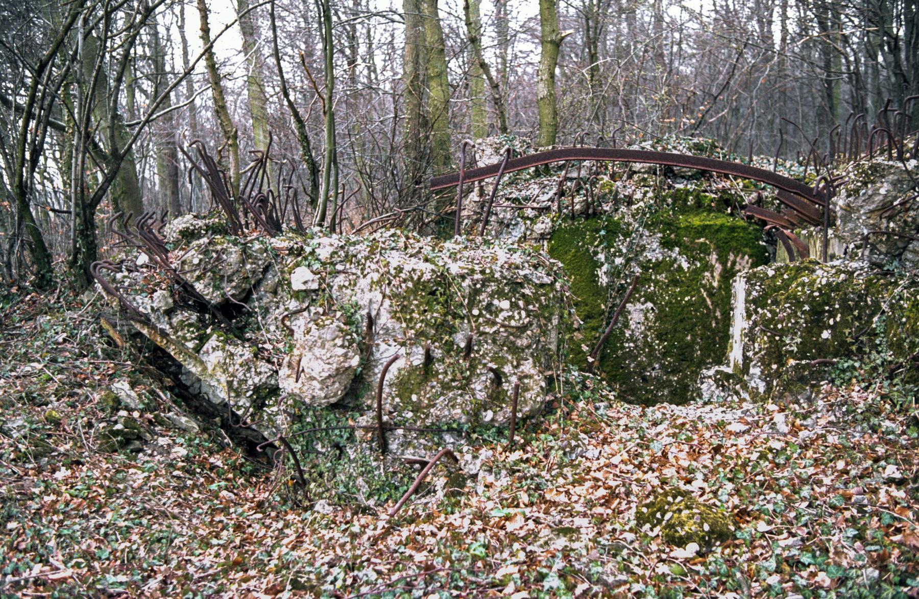 Ligne Maginot - BOIS DE KERFENT SUD 2 - (Blockhaus de type indéterminé) -  - MANSUY Michel