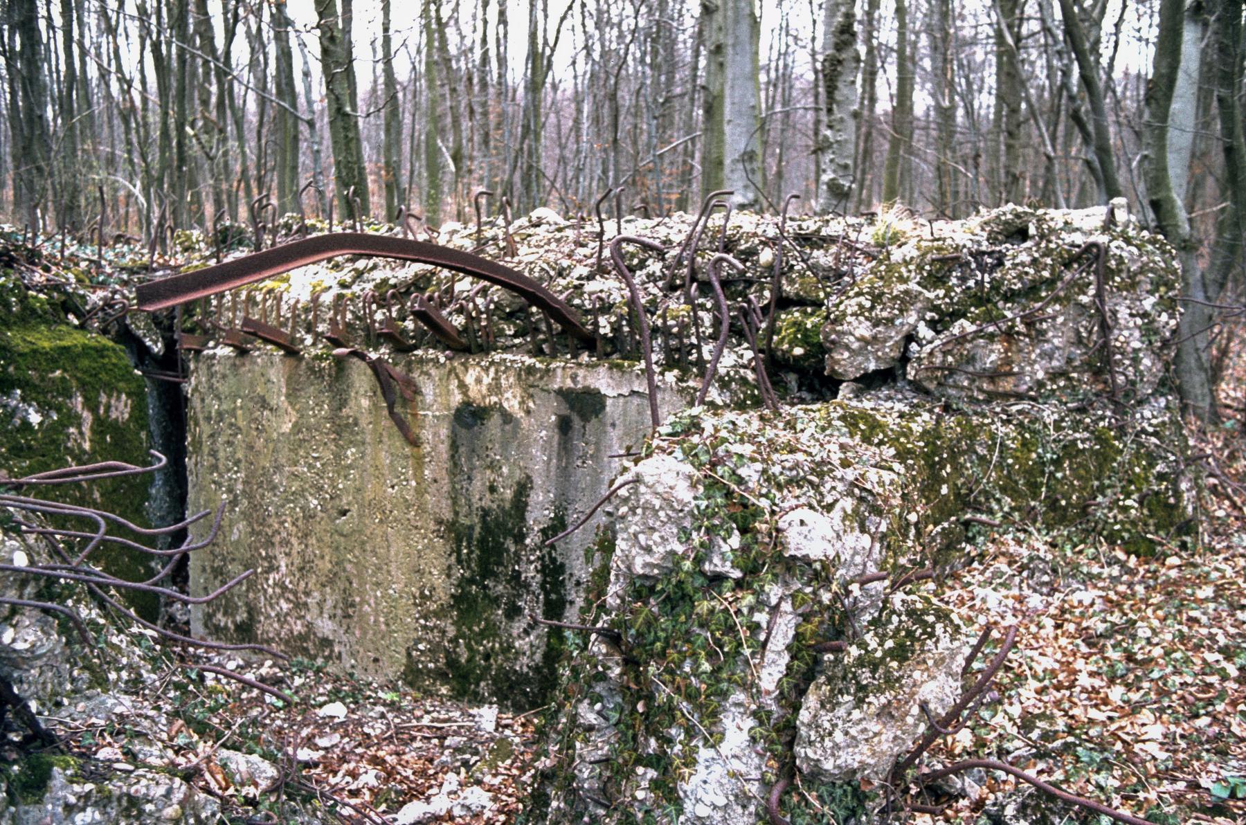 Ligne Maginot - BOIS DE KERFENT SUD 2 - (Blockhaus de type indéterminé) -  - MANSUY Michel