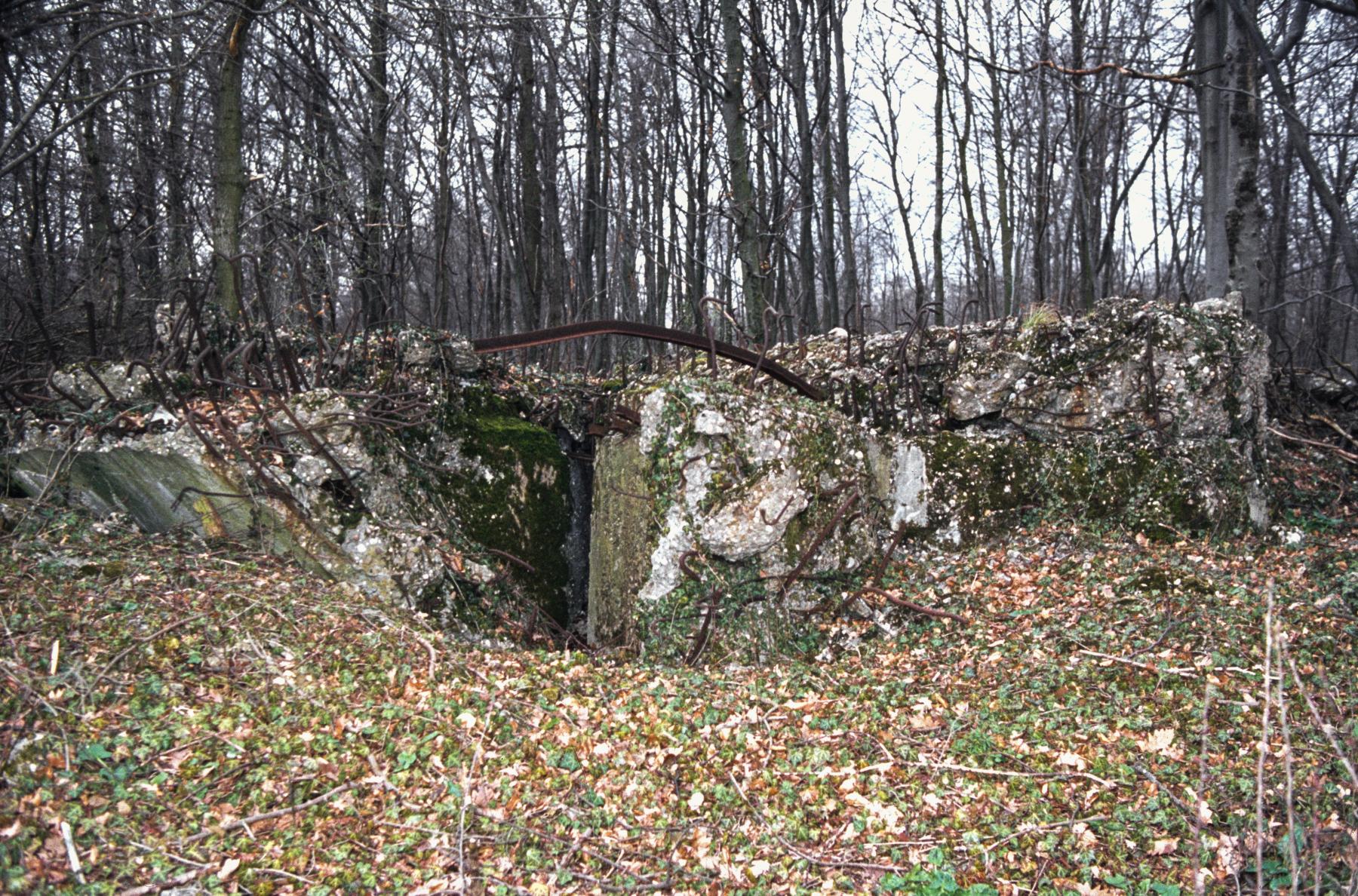 Ligne Maginot - BOIS DE KERFENT SUD 2 - (Blockhaus de type indéterminé) -  - MANSUY Michel