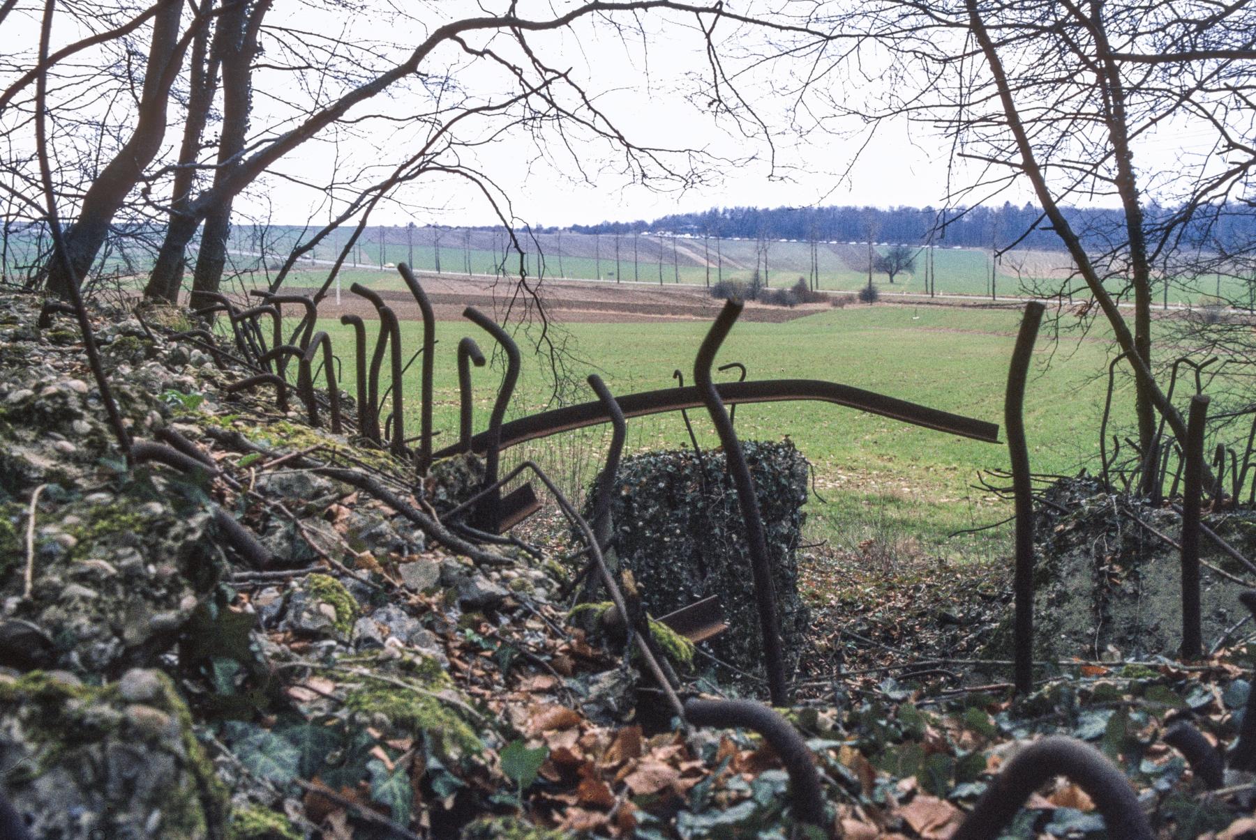 Ligne Maginot - BOIS DE KERFENT SUD 2 - (Blockhaus de type indéterminé) - Vue vers le bois de Bambesch - MANSUY Michel