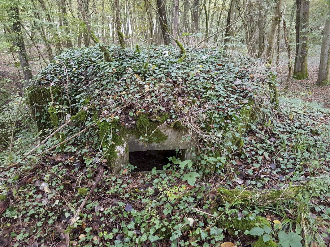 Ligne Maginot - BB42-B - (Blockhaus pour arme infanterie) -  - Ellena-Cuny