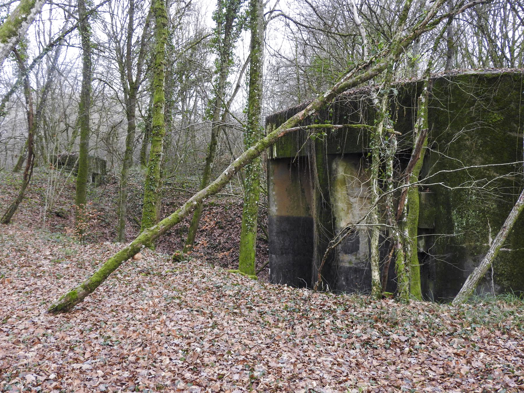 Ligne Maginot - BB42-B - (Blockhaus pour arme infanterie) - Cette photo permet de positionner le blockhaus Bb42-b (à gauche) par rapport au blockhaus Bb374. - STENGER Mathieu