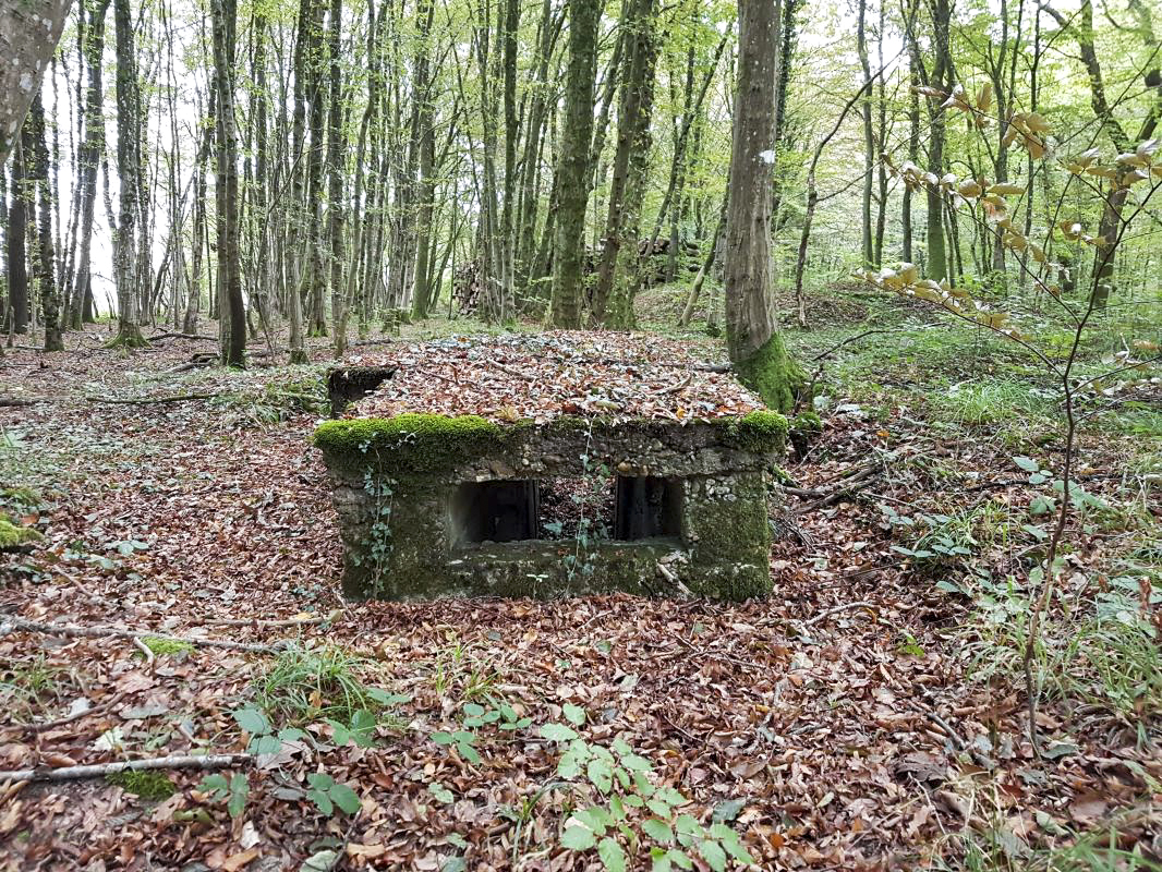 Ligne Maginot - BB43-D - (Blockhaus pour arme infanterie) - 2016 - Ellena-Cuny