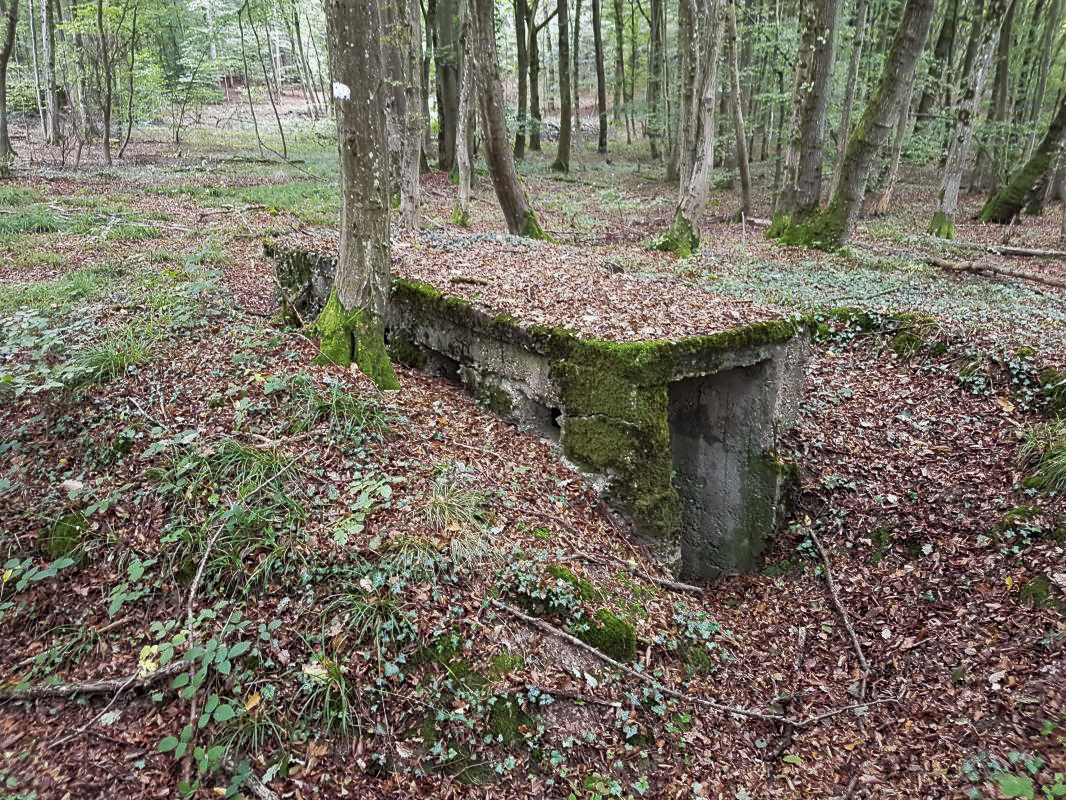Ligne Maginot - BB43-D - (Blockhaus pour arme infanterie) - 