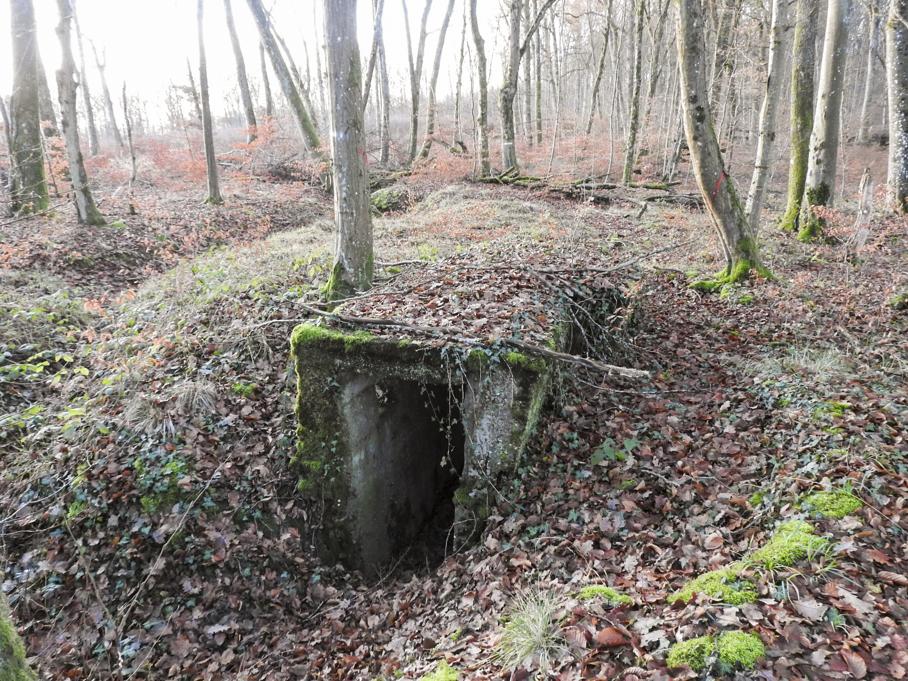 Ligne Maginot - BB43-D - (Blockhaus pour arme infanterie) - L'entrée du premier blockhaus. On voit la tranchée à gauche ; celle-ci va jusqu'au deuxième blockhaus FM puis rejoint le bloc STG. - STENGER Mathieu
