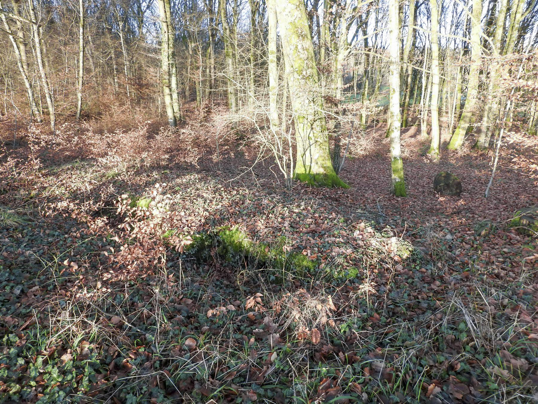 Ligne Maginot - Bb43-E (Blockhaus pour arme infanterie)) - Le blockhaus pour FM. - STENGER Mathieu
