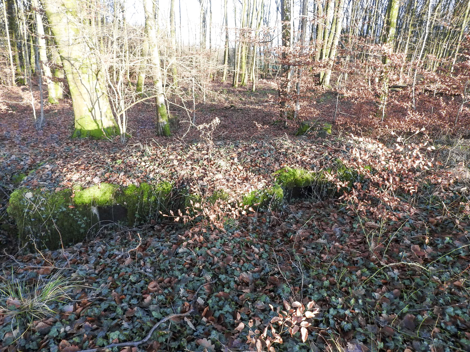 Ligne Maginot - Bb43-E (Blockhaus pour arme infanterie) - Le blockhaus pour FM. - STENGER Mathieu