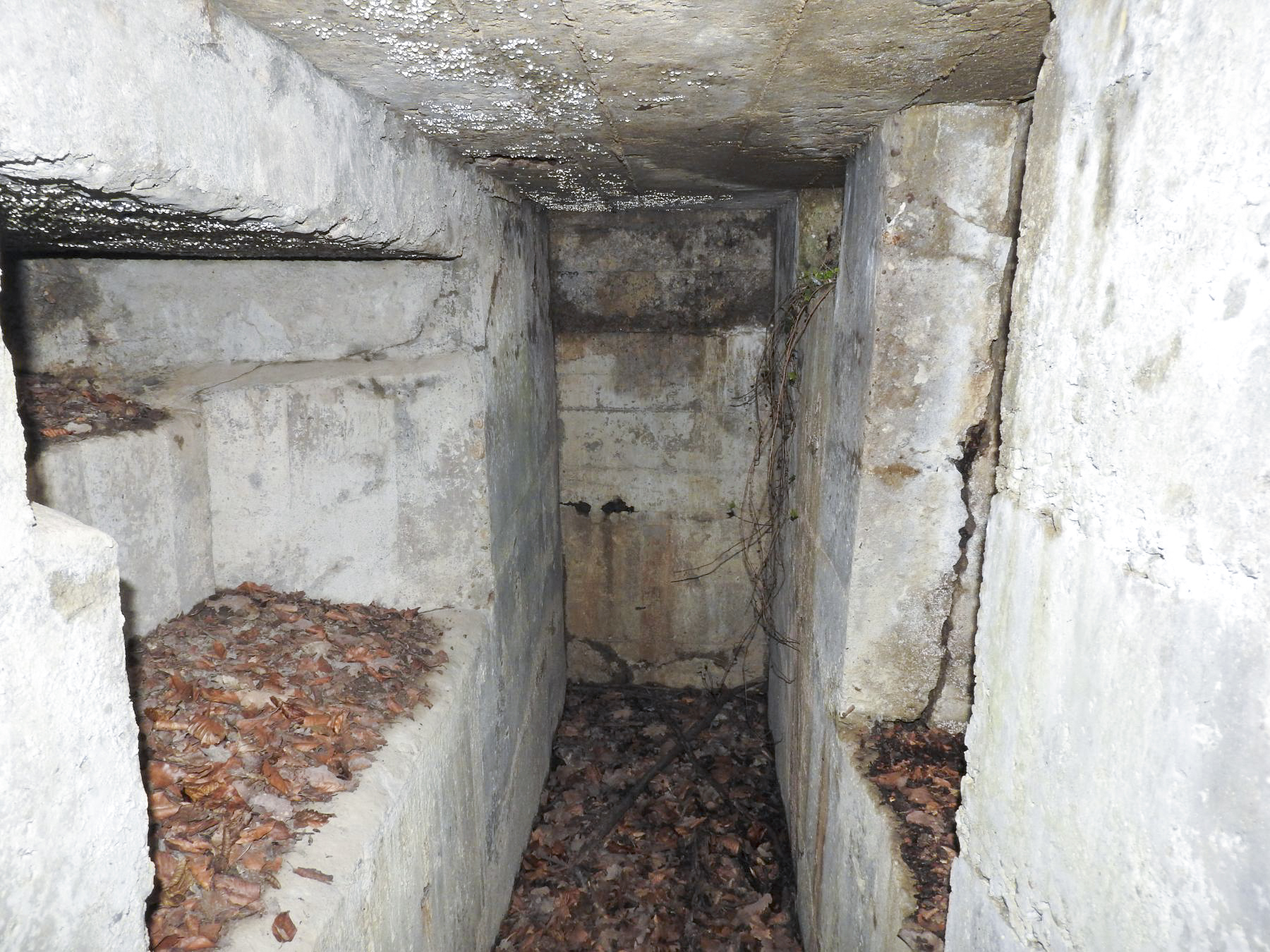 Ligne Maginot - Bb43-E (Blockhaus pour arme infanterie) - L'intérieur du blockhaus pour FM. - STENGER Mathieu