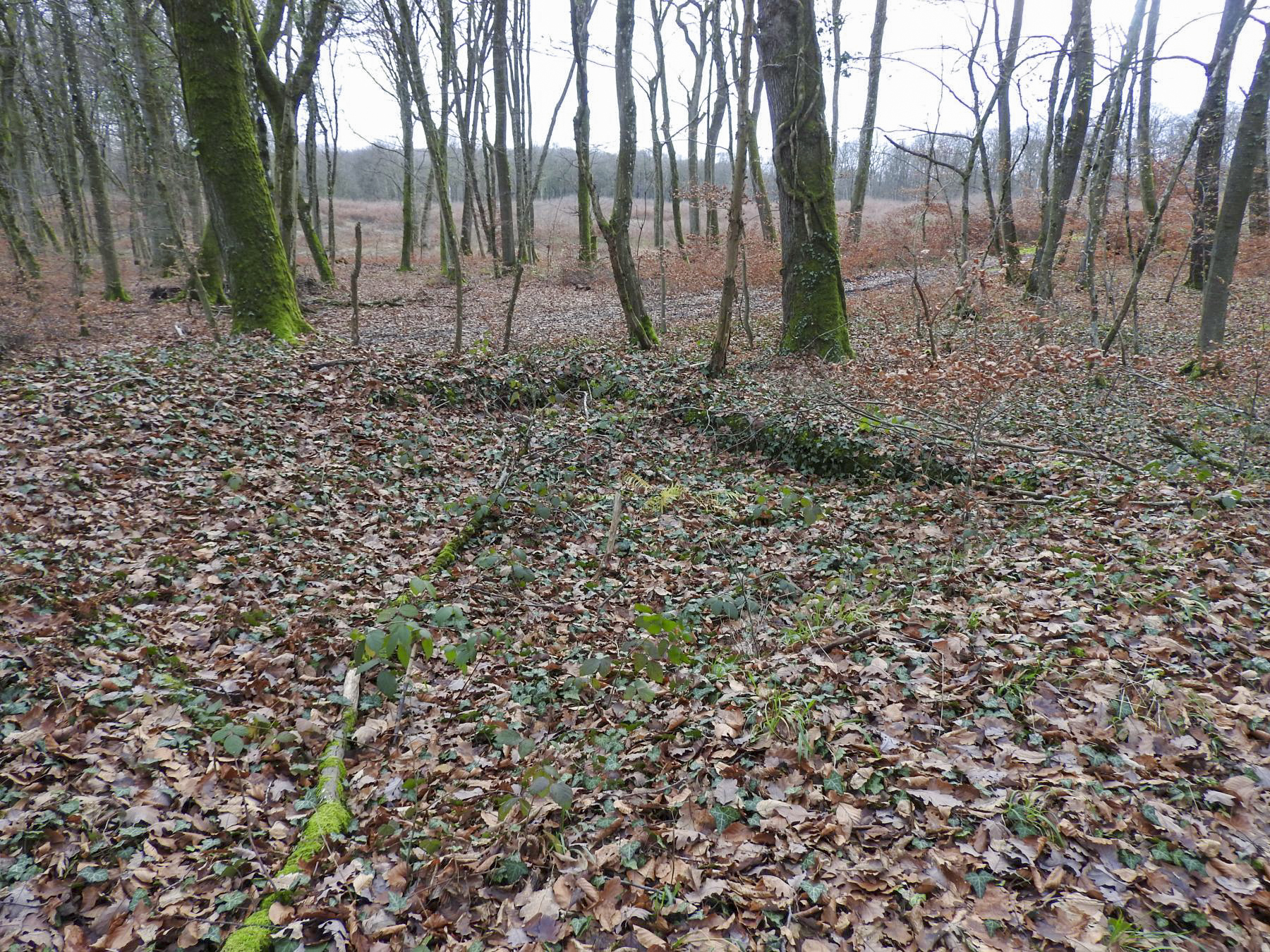Ligne Maginot - BB43-C - (Cuve pour canon) - La cuve de forme carré est encore discernable bien que comblé par de la terre et des feuilles. - STENGER Mathieu