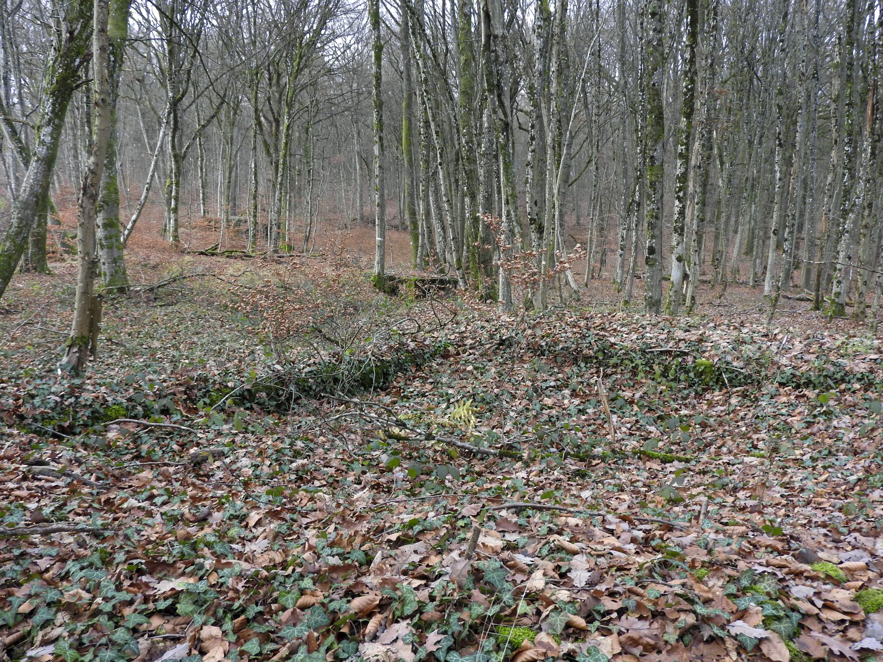 Ligne Maginot - BB43-C - (Cuve pour canon) - La cuve pour canon et au centre de la photo un des blocs de Bb43-d. - STENGER Mathieu
