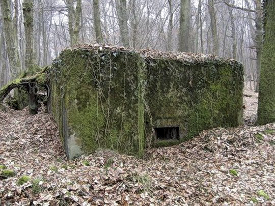 Ligne Maginot - BB354 - (Blockhaus pour arme infanterie) - 