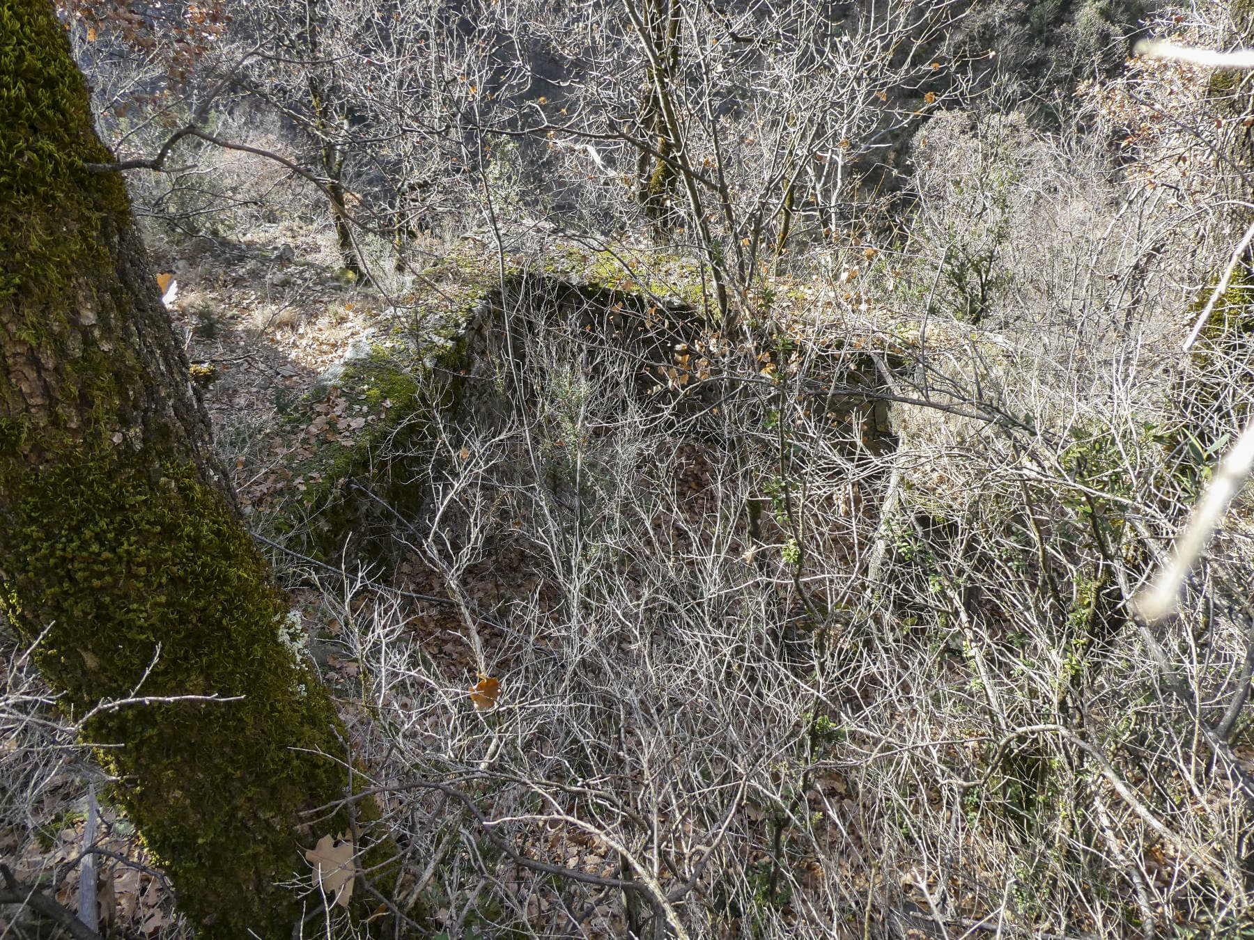 Ligne Maginot - LE COLLET 2 - (Abri) -  - ELLENA Daniel - CUNY Philippe