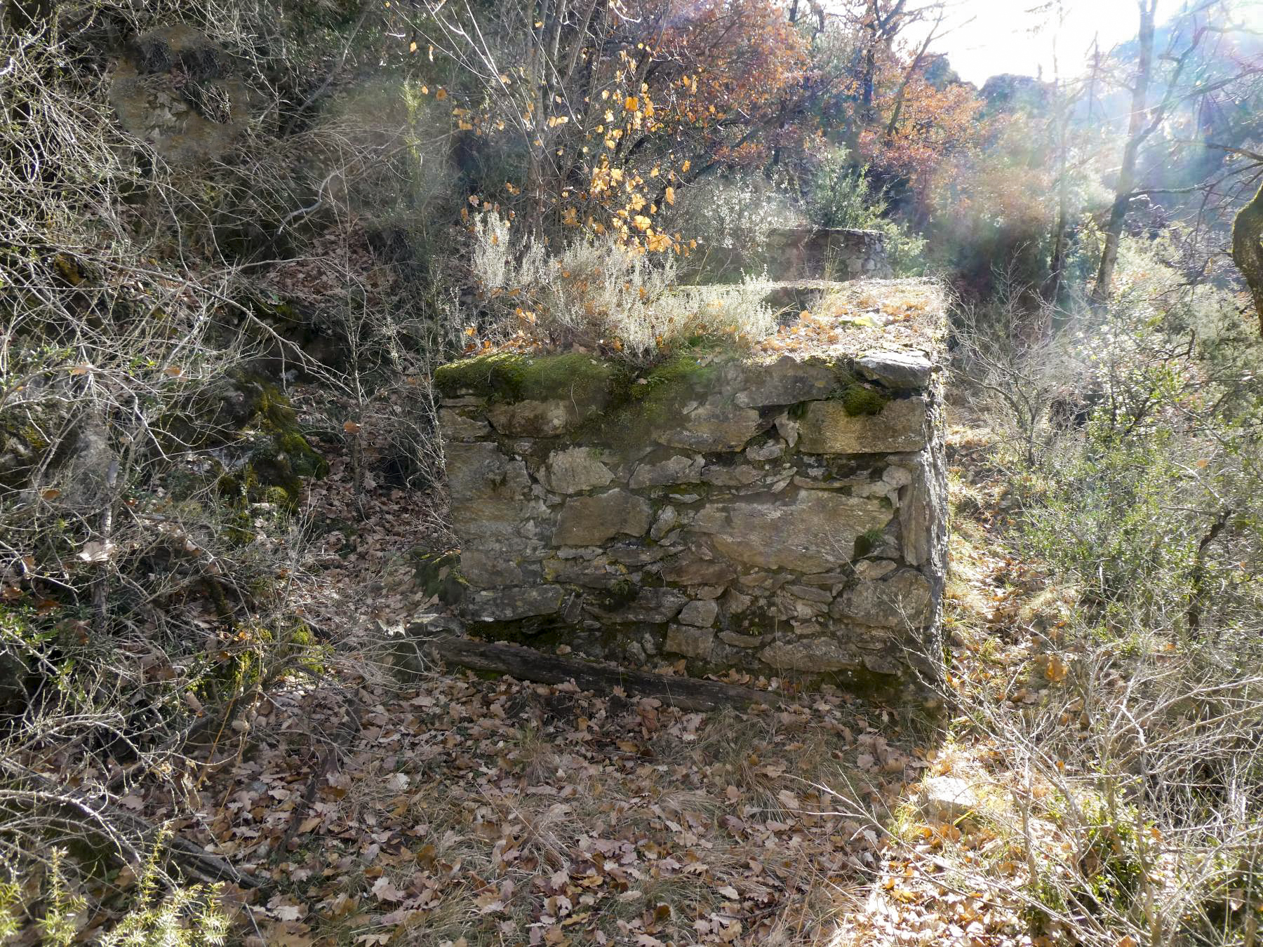 Ligne Maginot - LE COLLET 2 - (Abri) -  - ELLENA Daniel - CUNY Philippe