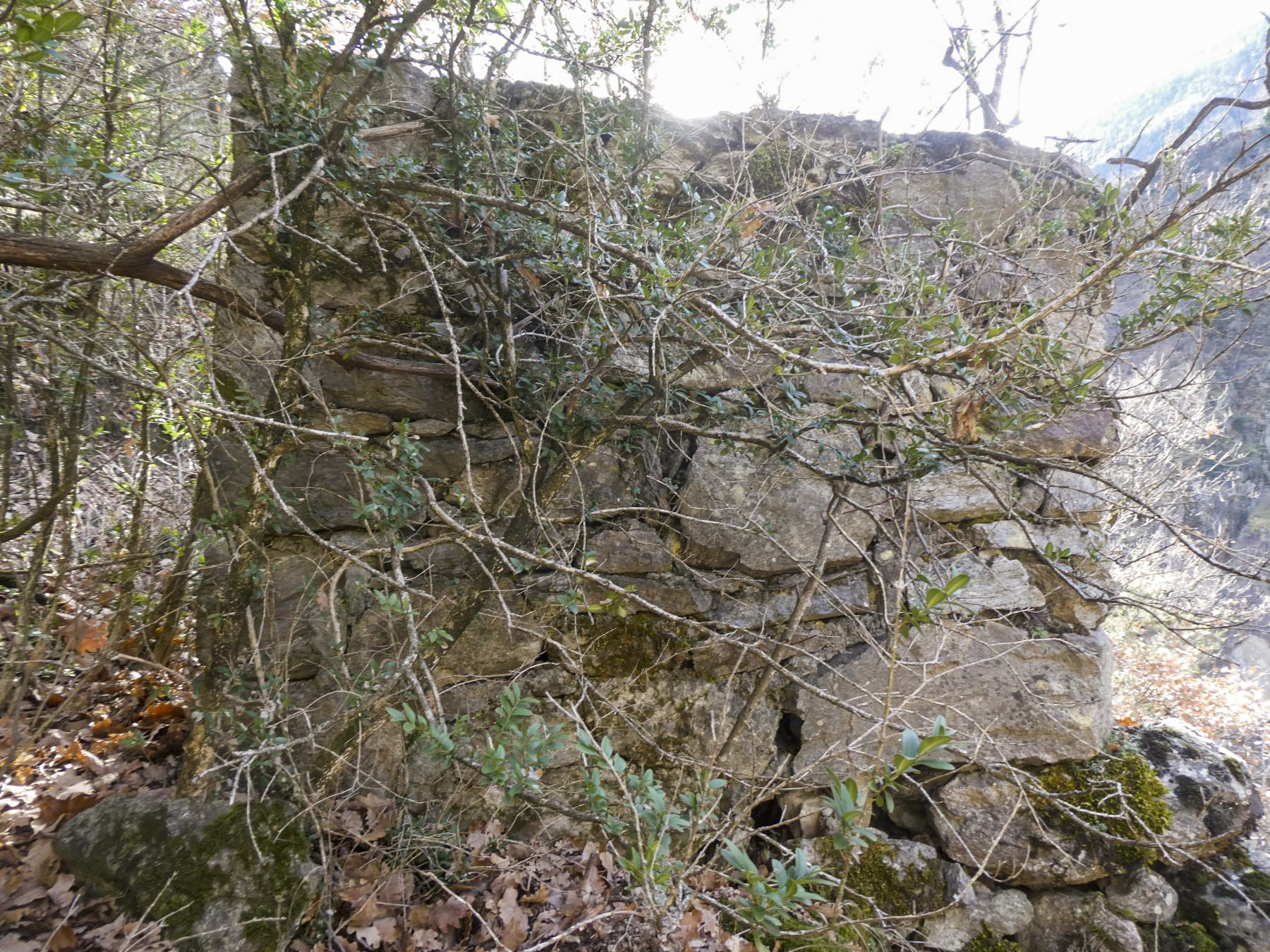 Ligne Maginot - LE COLLET 2 - (Abri) -  - ELLENA Daniel - CUNY Philippe