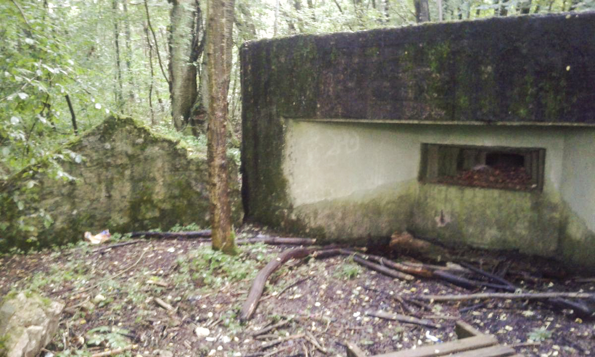 Ligne Maginot - Blockhaus M101B - BOIS de GUESSLING - 