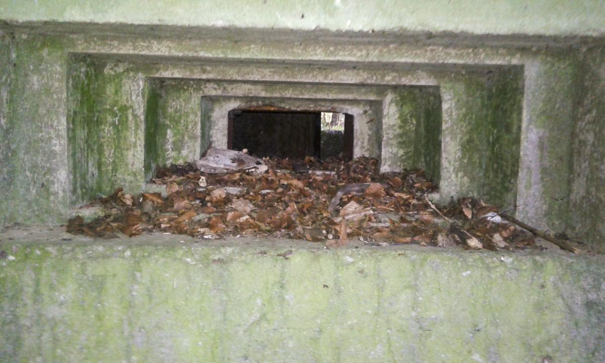 Ligne Maginot - M101B - BOIS DE GUESSLING - (Blockhaus pour arme infanterie) - 