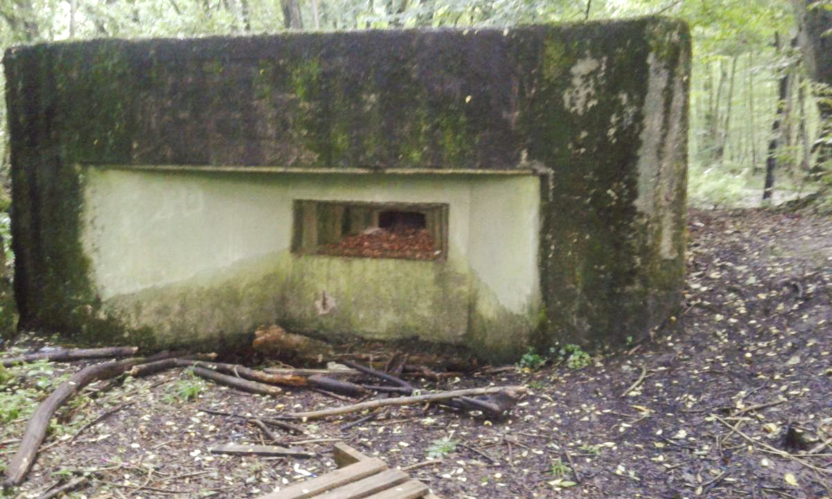 Ligne Maginot - M101B - BOIS DE GUESSLING - (Blockhaus pour arme infanterie) -  - Titi57