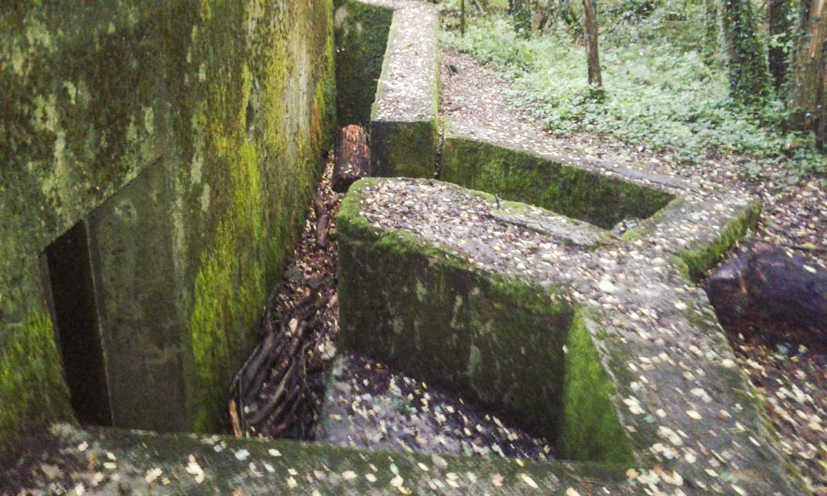 Ligne Maginot - M101B - BOIS DE GUESSLING - (Blockhaus pour arme infanterie) -  - Titi57