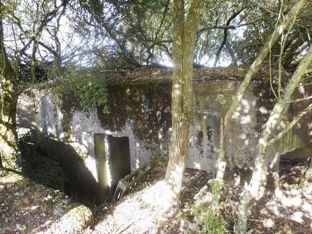 Ligne Maginot - M112B - TANZGARTEN - (Blockhaus pour arme infanterie) - 