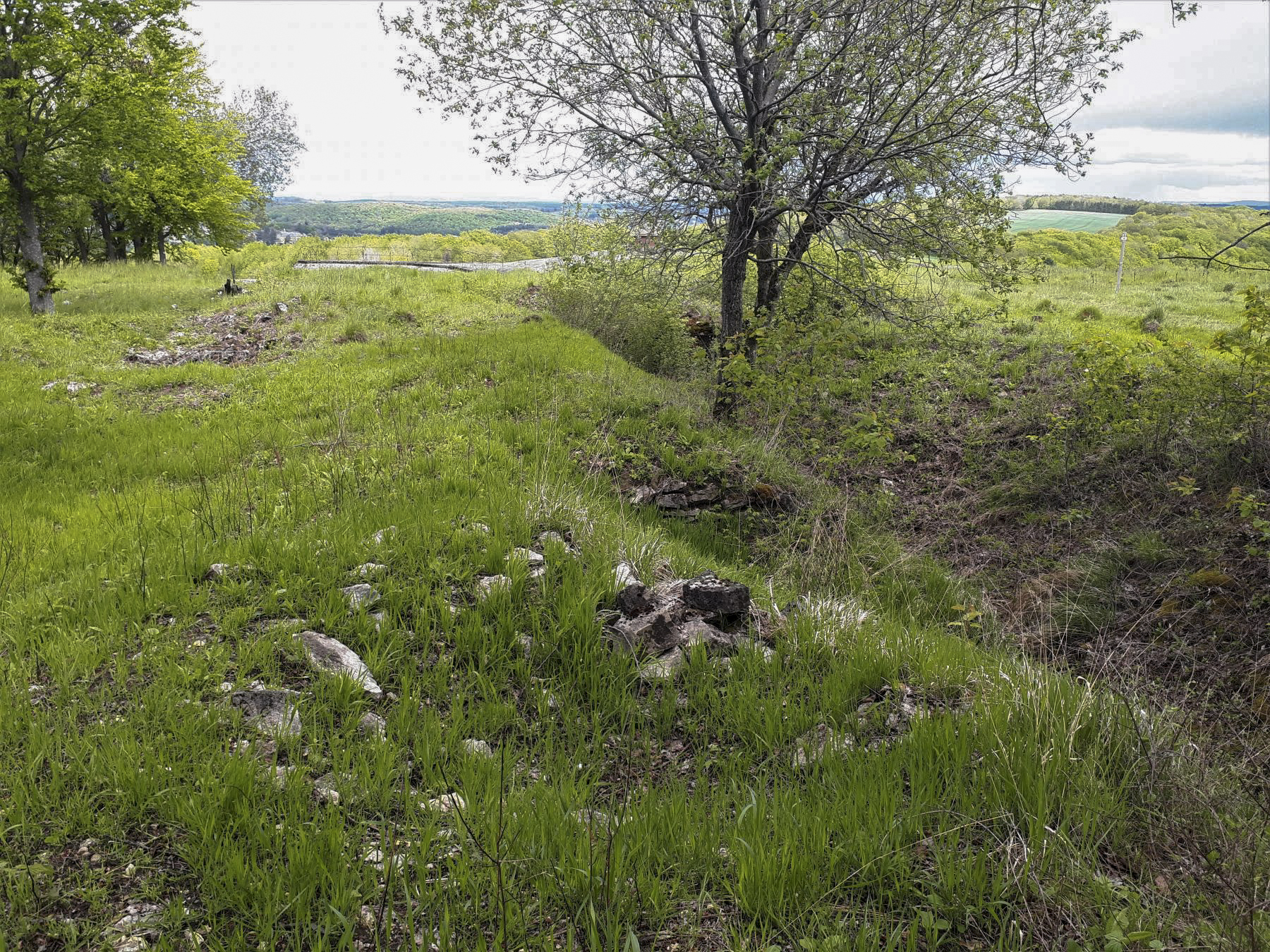 Ligne Maginot - EINSELING - A36 - (Ouvrage d'infanterie) - Tranchée d'accès à l'ouvrage
