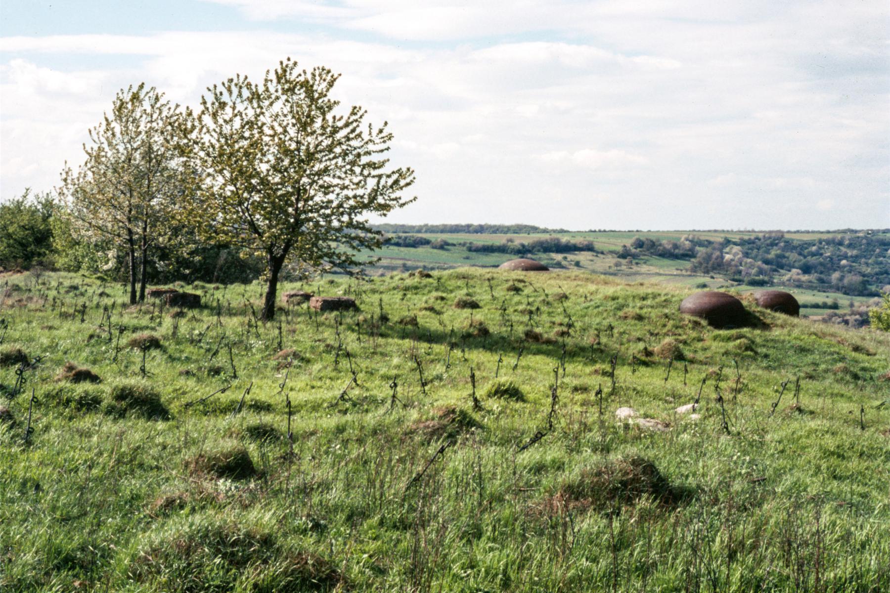 Ligne Maginot - EINSELING - A36 - (Ouvrage d'infanterie) -  - MANSUY Michel