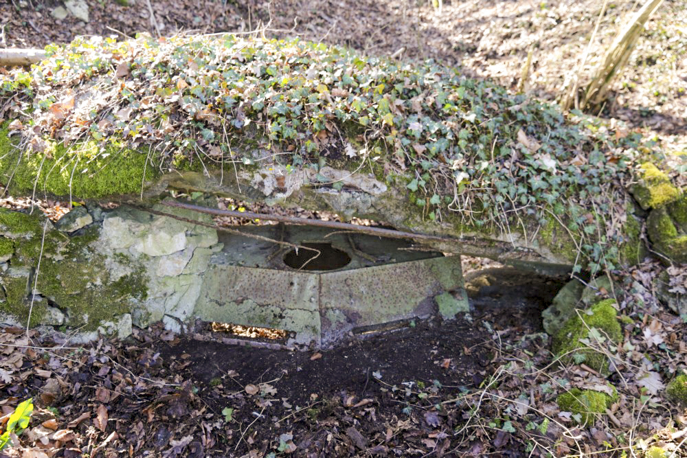 Ligne Maginot - GRAIBFELD - (Observatoire indeterminé) -  - Alain Perouffe