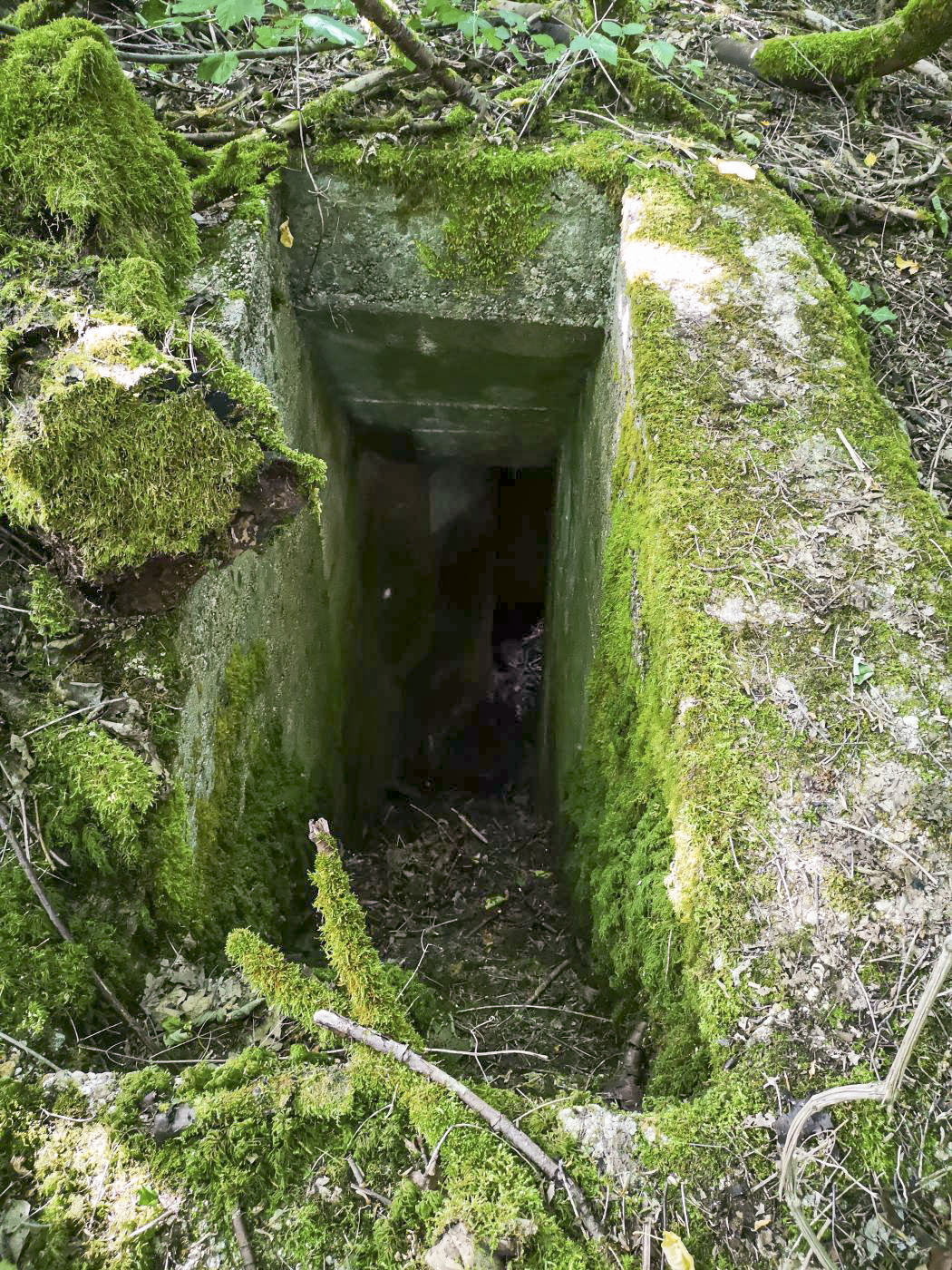 Ligne Maginot - LA FOURCHETTE - (Blockhaus pour arme infanterie) - Entrée n°2 - beb08