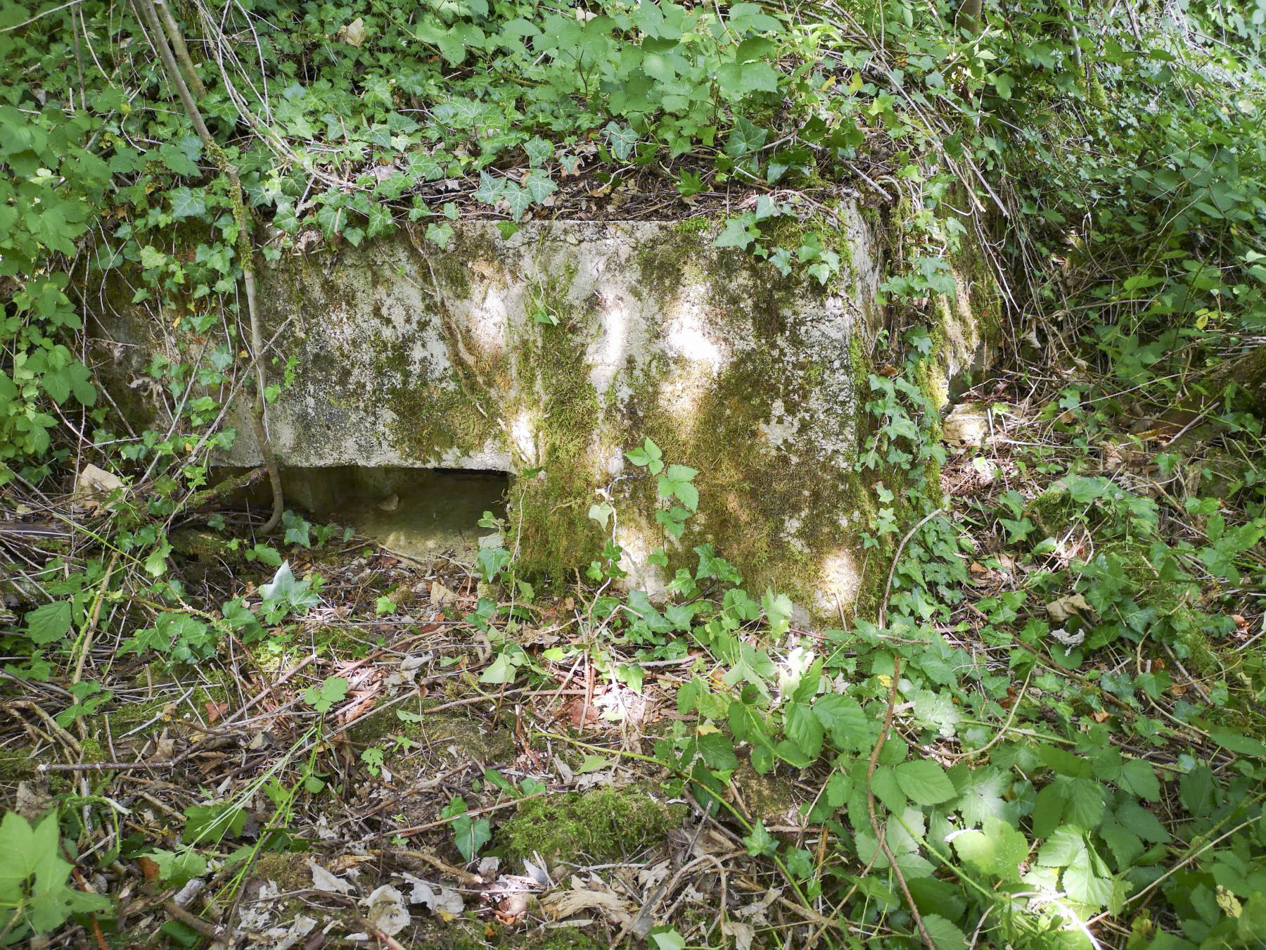 Ligne Maginot - LA FOURCHETTE - (Blockhaus pour arme infanterie) - Poste de mitrailleuse de gauche - beb08