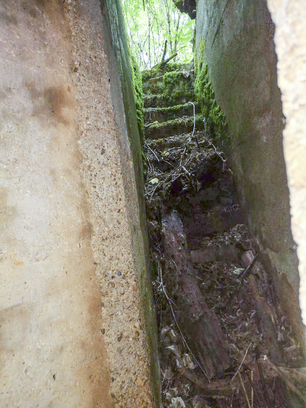 Ligne Maginot - LA FOURCHETTE - (Blockhaus pour arme infanterie) - sortie de n°2 - beb08