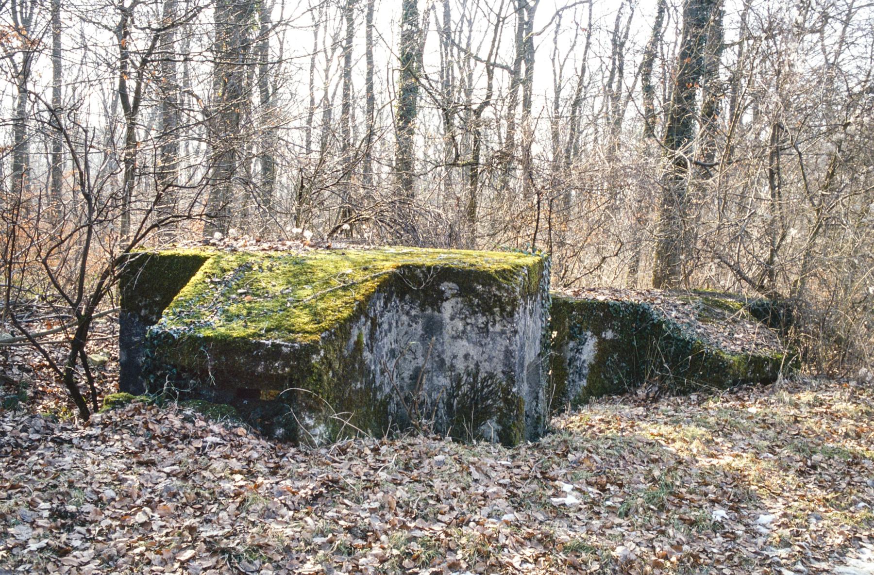 Ligne Maginot - BOIS DE LAUDREFANG NORD 1 - (Blockhaus pour arme infanterie) - Les deux blockhaus du Bois de Laudrefang Nord 1 et 2 - MANSUY Michel