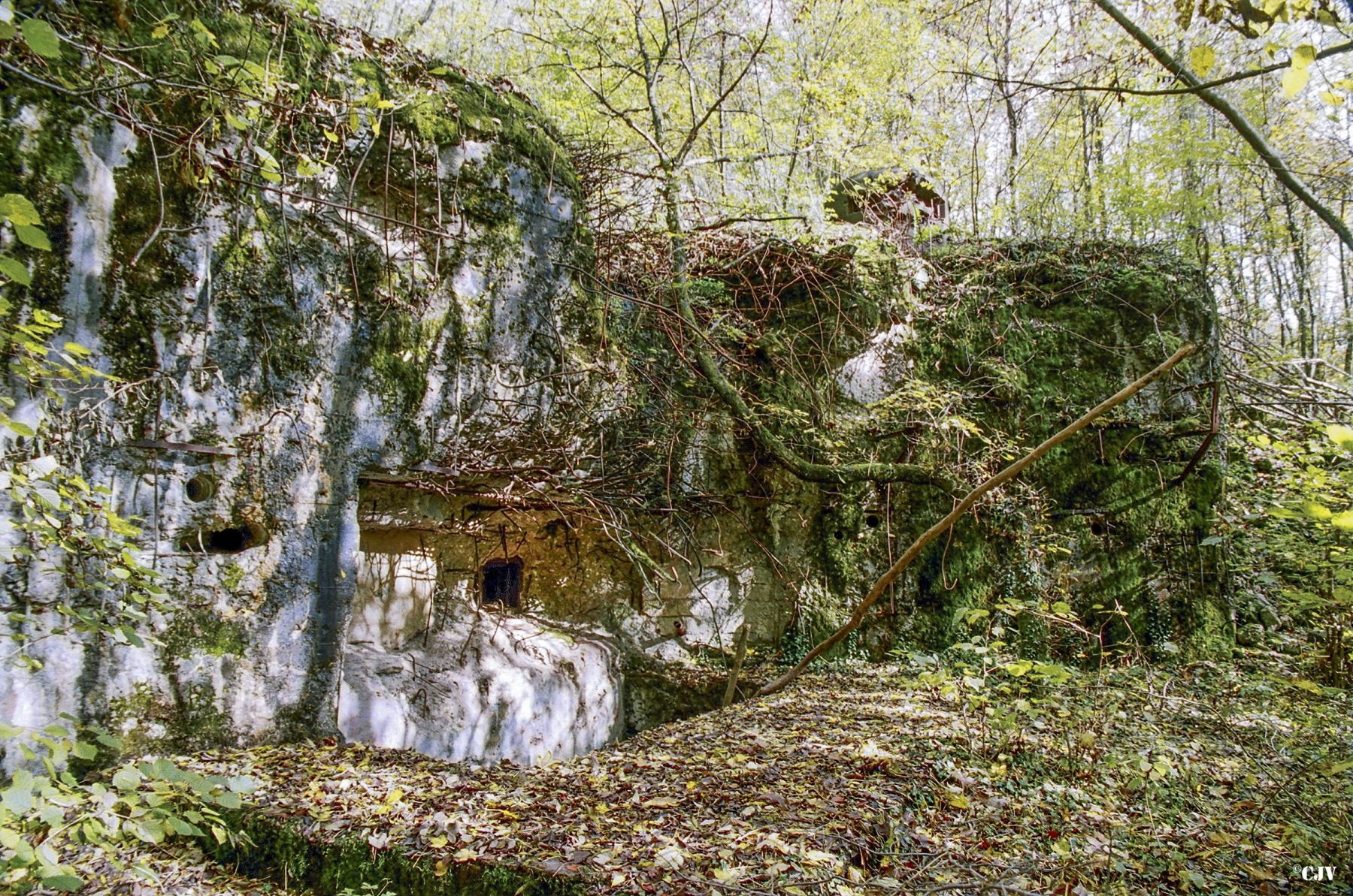 Ligne Maginot - KERFENT - A34 - (Ouvrage d'infanterie) - Bloc 3
Vue sur la chambre de tir