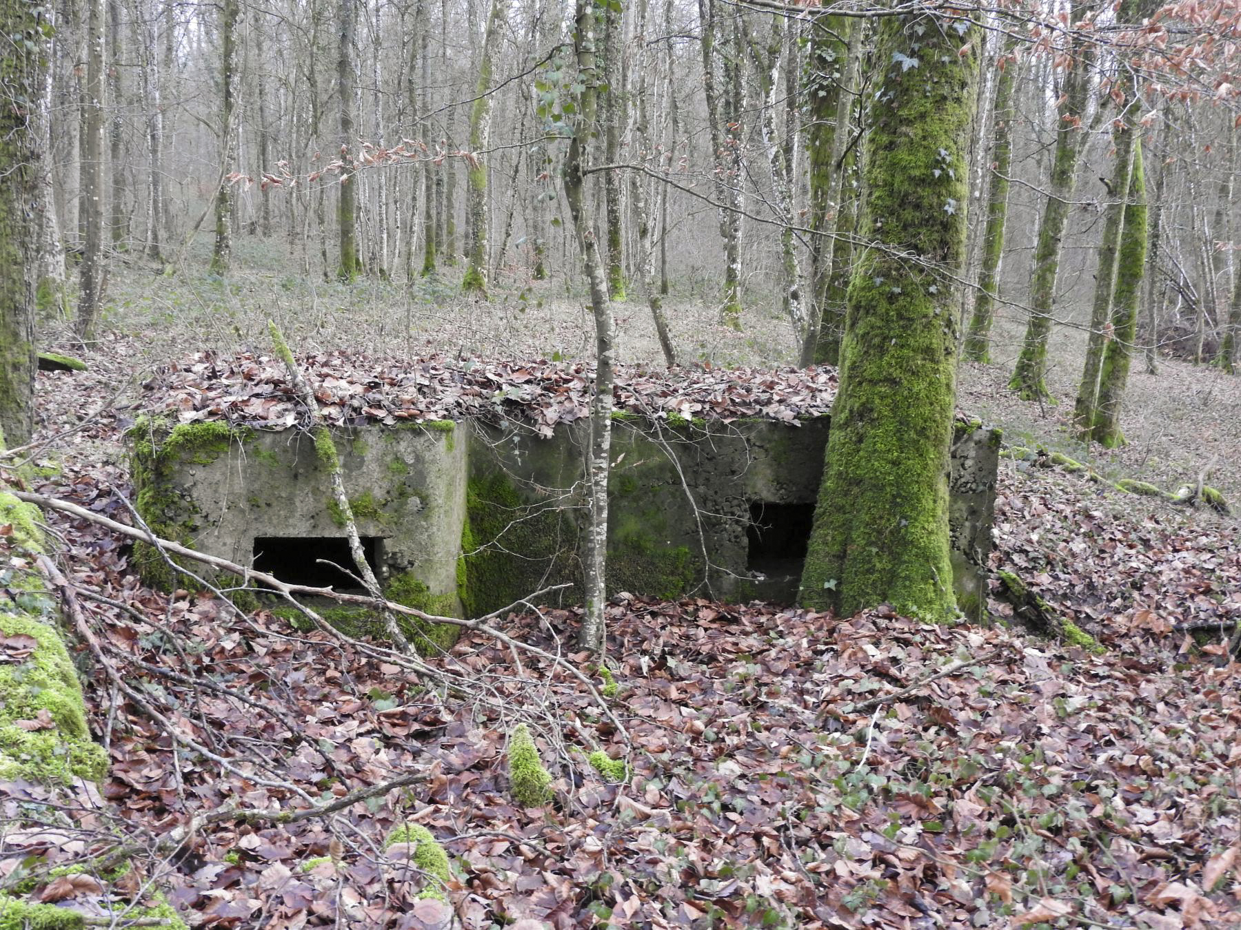 Ligne Maginot - BB42-D - (Blockhaus pour arme infanterie) - Les deux créneaux de tir vers la gauche. - STENGER Mathieu