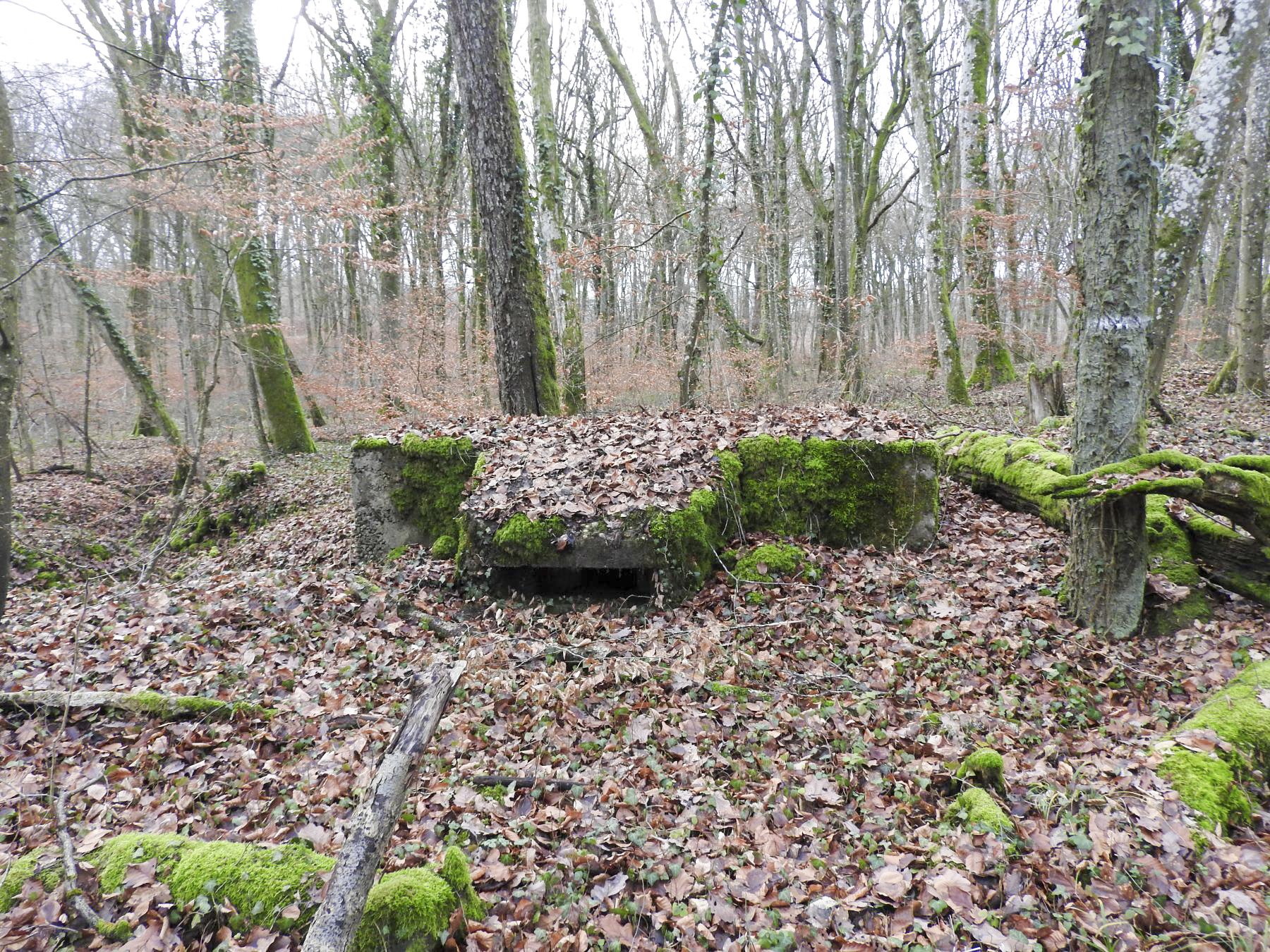 Ligne Maginot - BB42-D - (Blockhaus pour arme infanterie) - L'unique créneaux vers la droite. - STENGER Mathieu