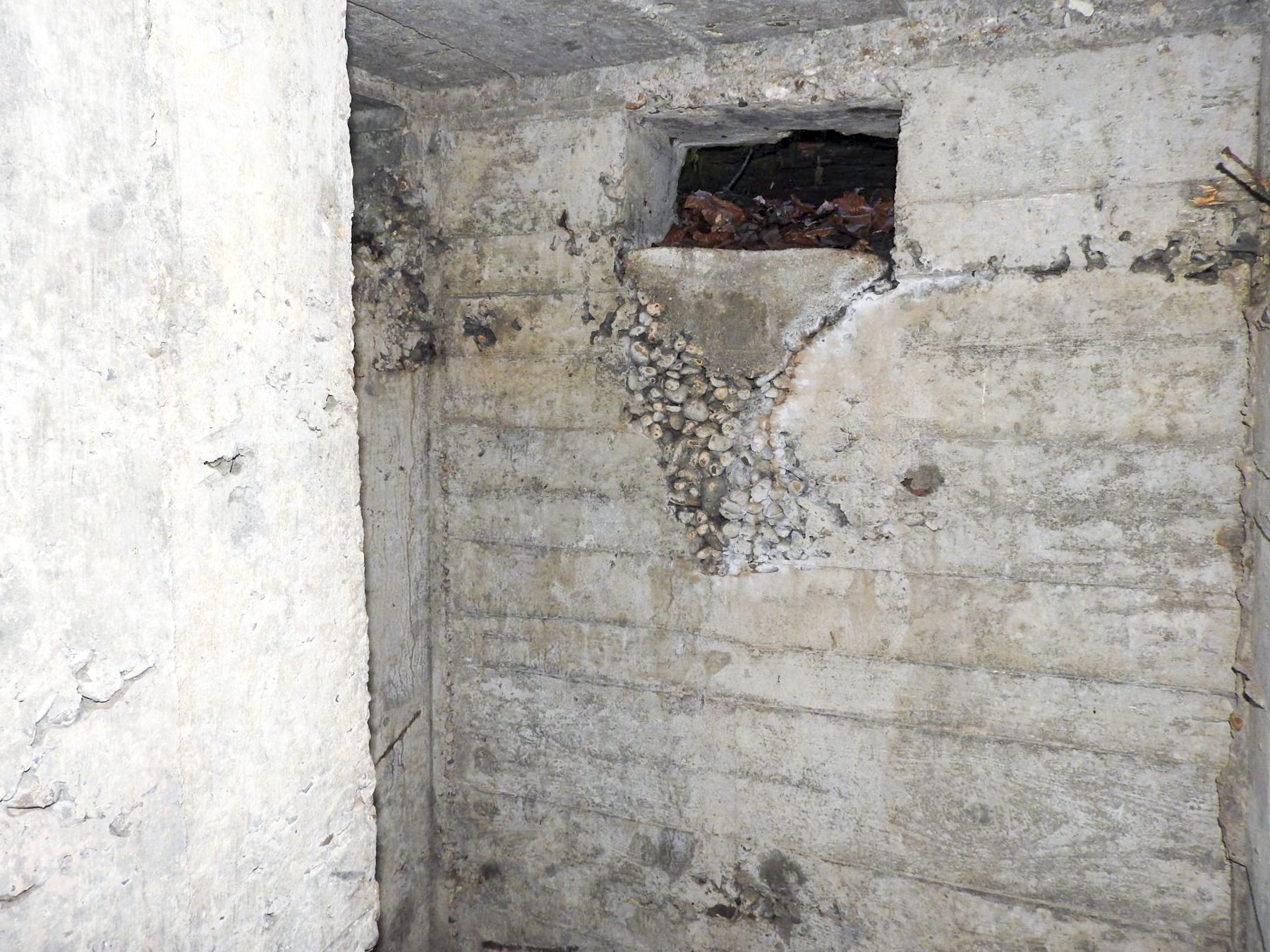 Ligne Maginot - BB42-D - (Blockhaus pour arme infanterie) - La chambre de tir pour arme d'infanterie. - STENGER Mathieu