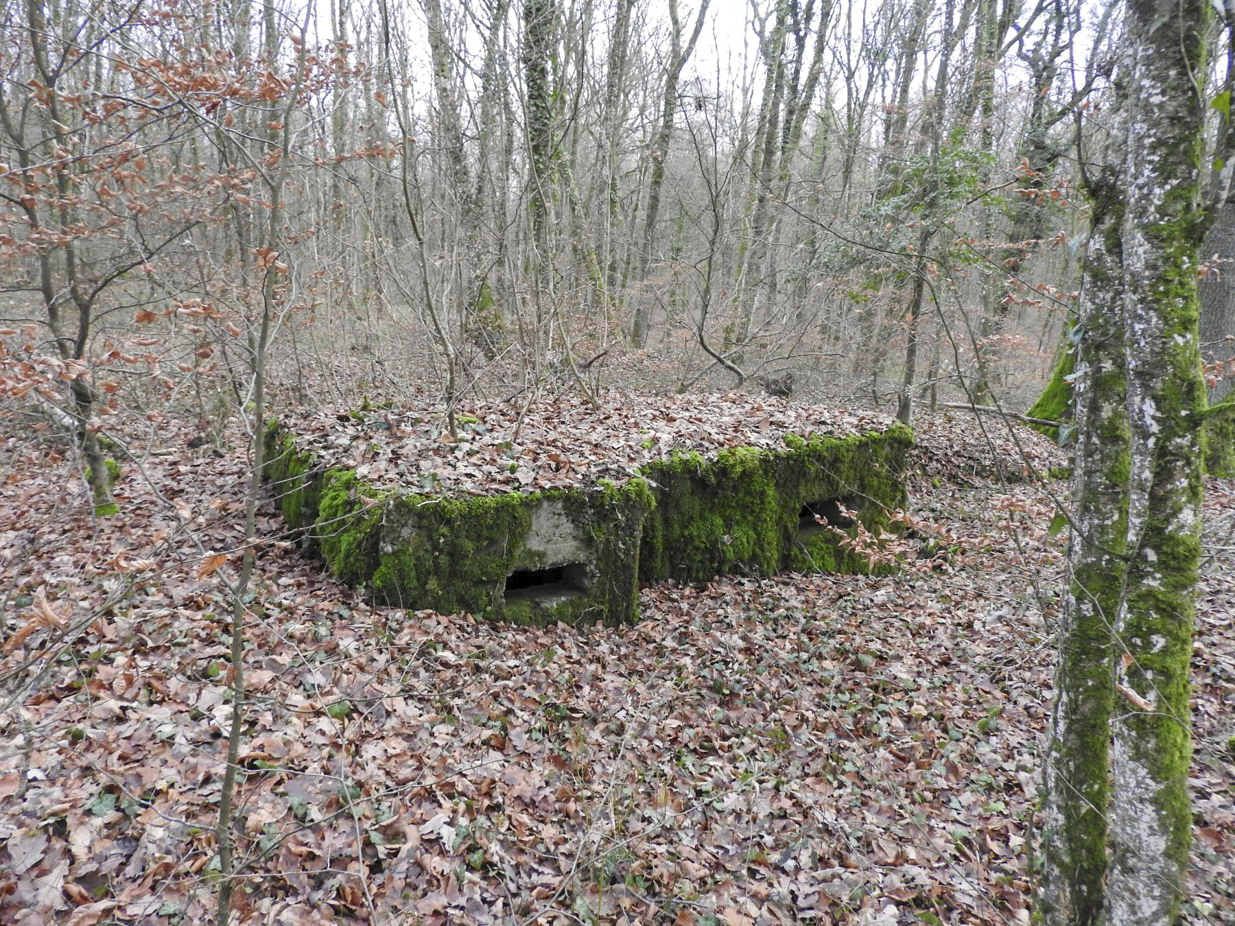 Ligne Maginot - BB42-C - (Blockhaus pour arme infanterie) - Les créneaux orientés vers les arrières du blockhaus Bb374. - STENGER Mathieu