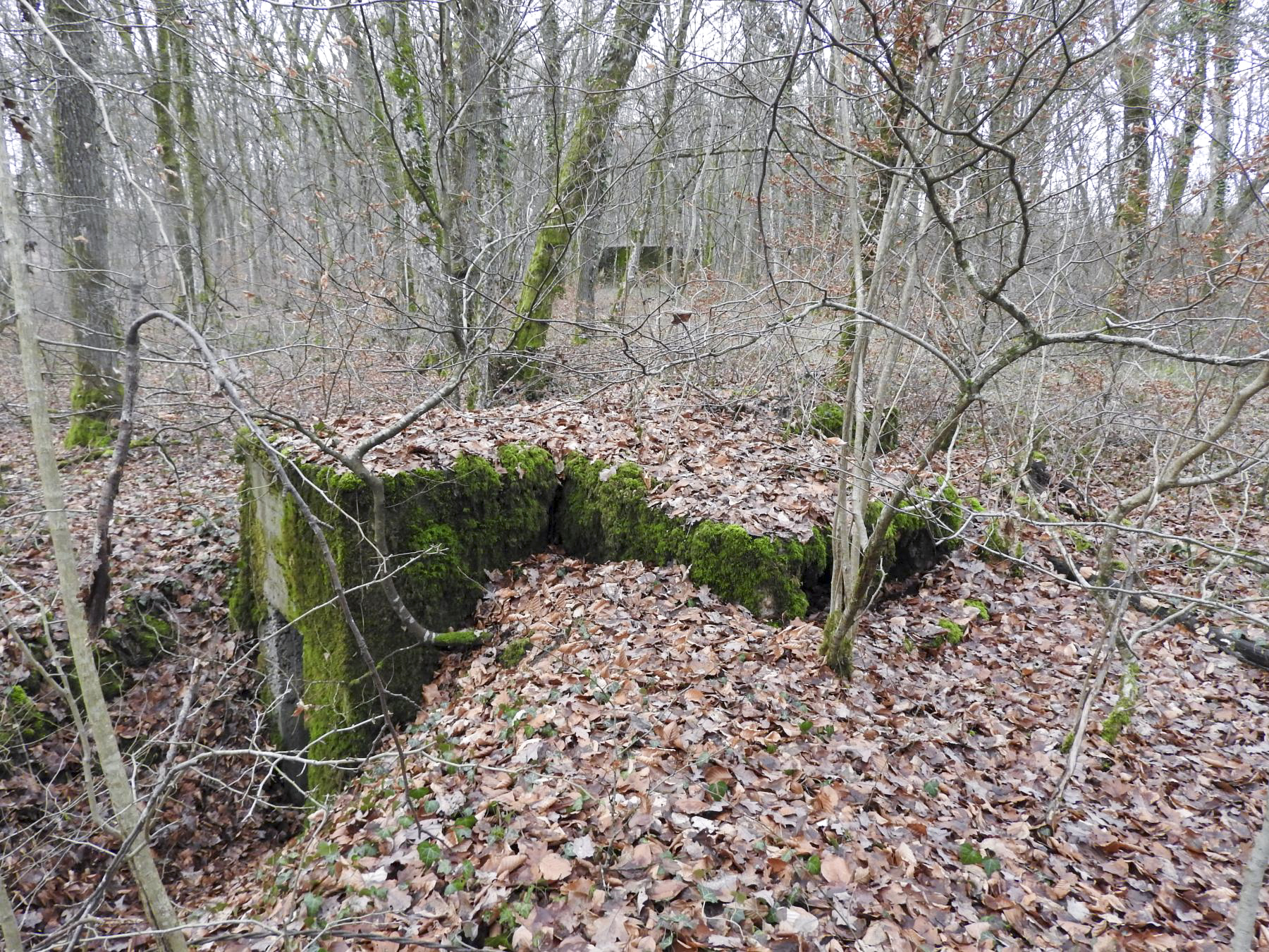 Ligne Maginot - BB42-C - (Blockhaus pour arme infanterie) - Le créneau de tir vers la droite. On voit le blockhaus Bb374 à l'arrière. - STENGER Mathieu