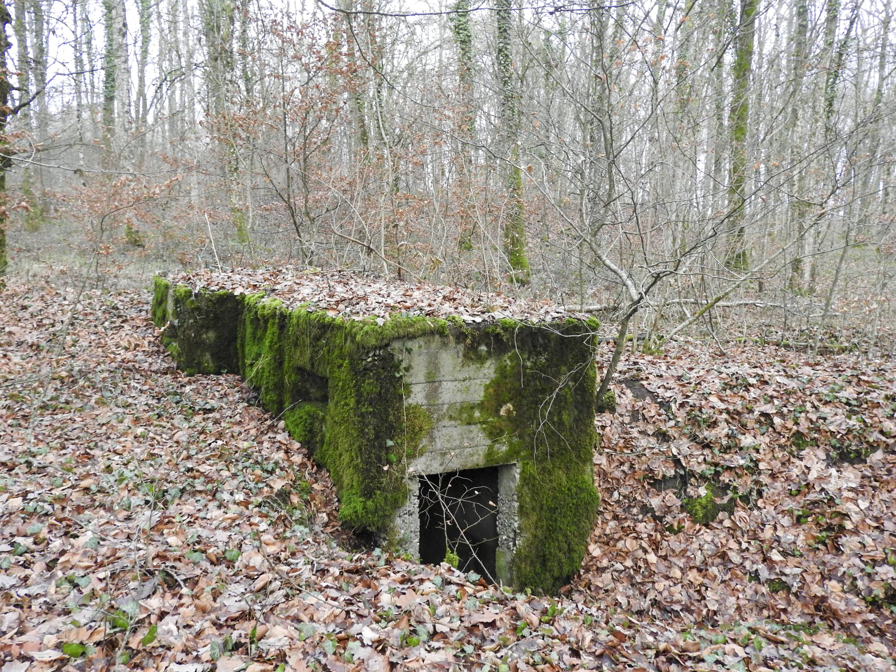 Ligne Maginot - BB42-C - (Blockhaus pour arme infanterie) - L'entrée du blockhaus. - STENGER Mathieu