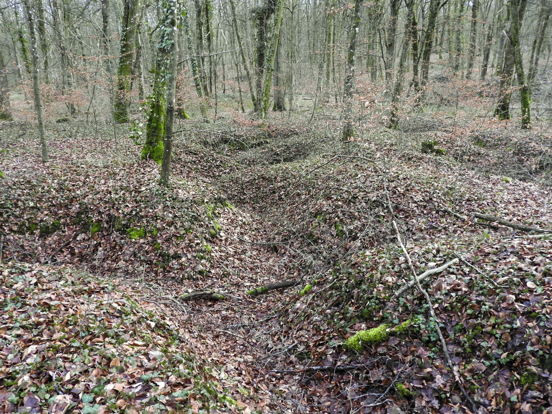 Ligne Maginot - BB42-C - (Blockhaus pour arme infanterie) - La tranchée d'accès. - STENGER Mathieu