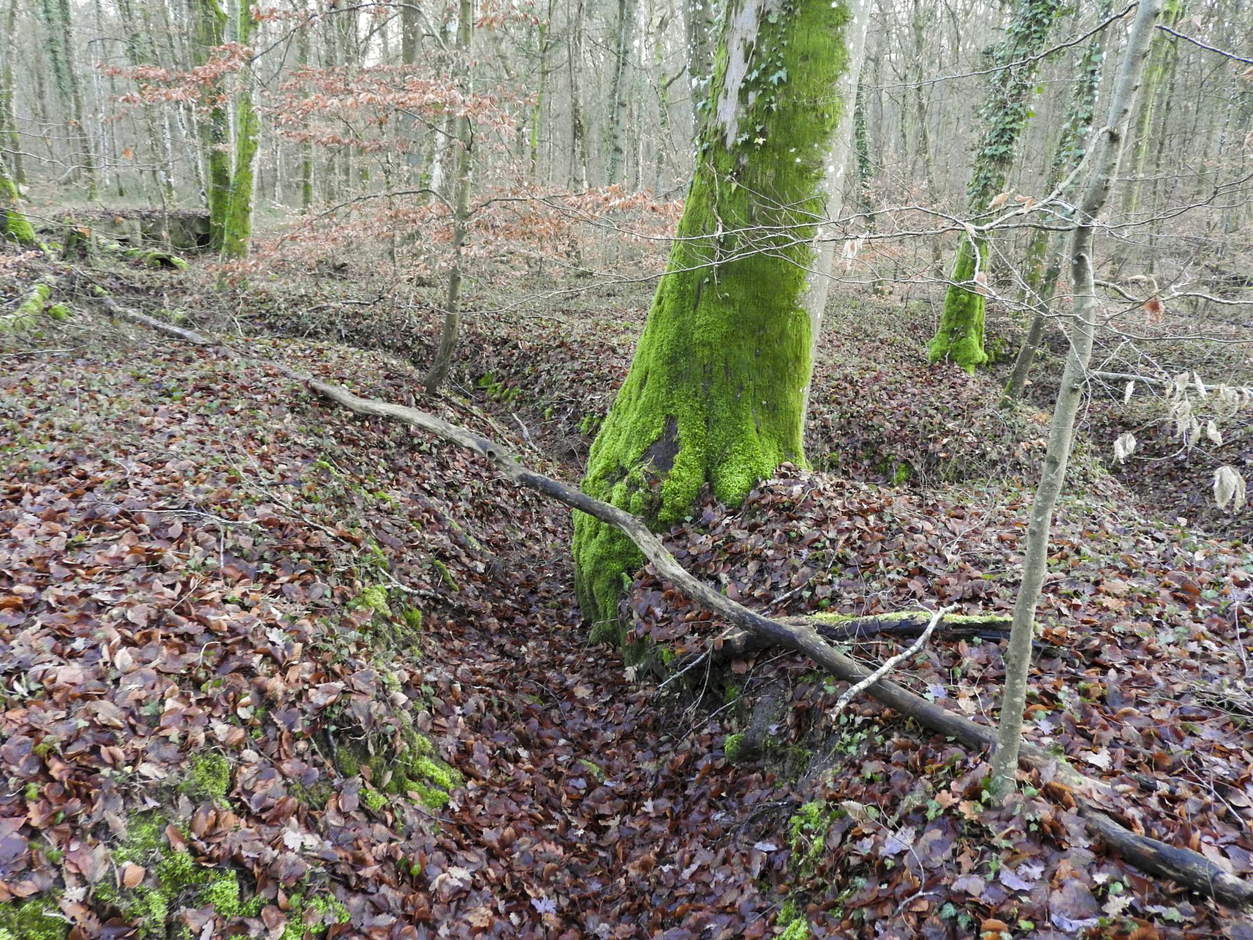 Ligne Maginot - BB42-C - (Blockhaus pour arme infanterie) - Vue depuis l'entrée la tranchée qui rejoint un deuxième blockhaus identique visible à l'arrière. - STENGER Mathieu