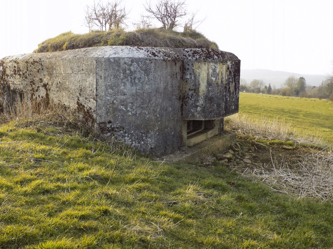 Ligne Maginot - 1B - VAUX LES MOUZON EST - (Blockhaus pour canon) - L'arrière et face est - R Tucker