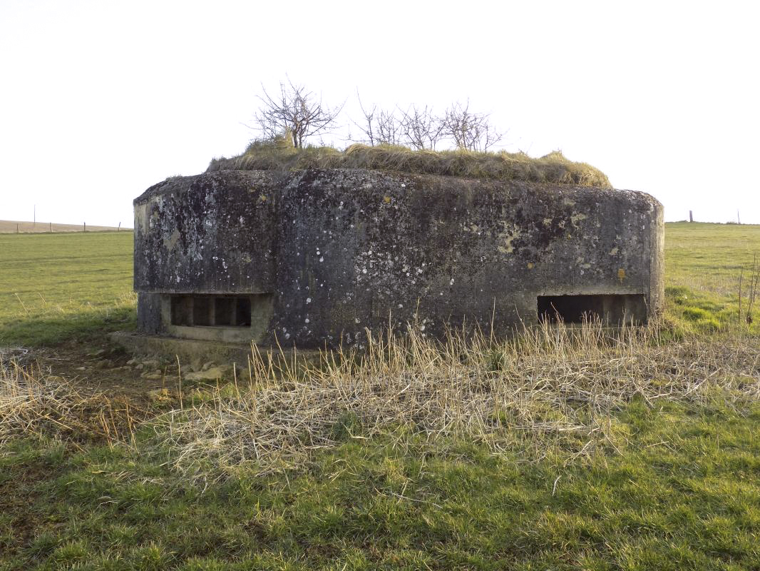 Ligne Maginot - 1B - VAUX LES MOUZON EST - (Blockhaus pour canon) - Faces est et nord