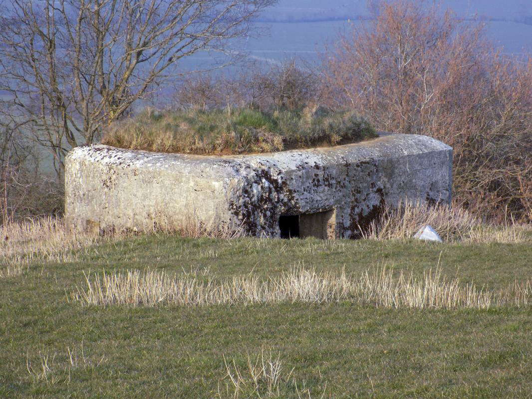 Ligne Maginot - 1B - VAUX LES MOUZON EST - (Blockhaus pour canon) - 