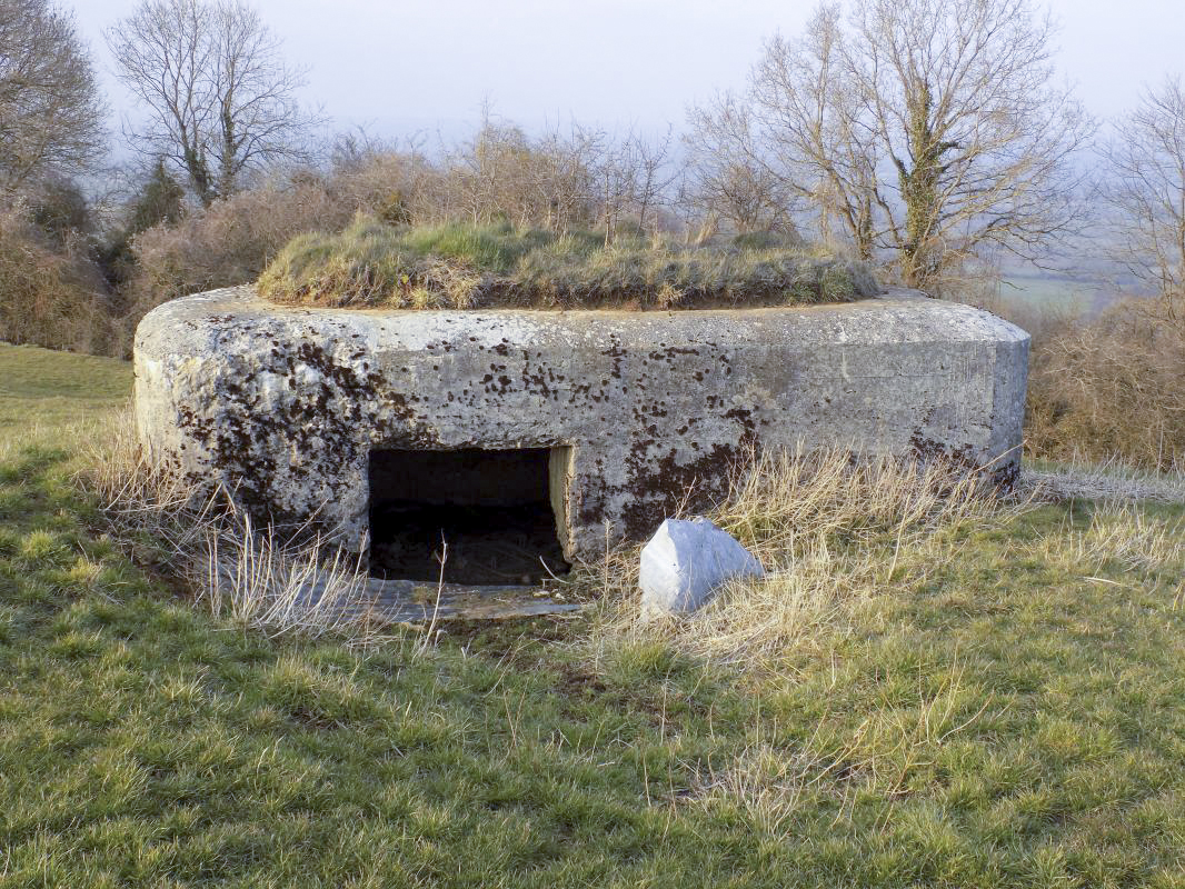 Ligne Maginot - 1B - VAUX LES MOUZON EST - (Blockhaus pour canon) - L'arrière