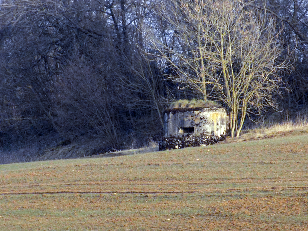 Ligne Maginot - 1B - VAUX LES MOUZON EST - (Blockhaus pour canon) - Vue vers le sud-est, B9-B